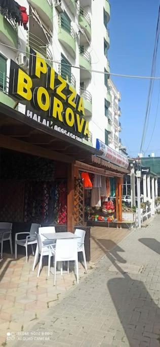 Apartman 37