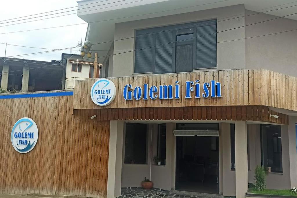 Apartman 37