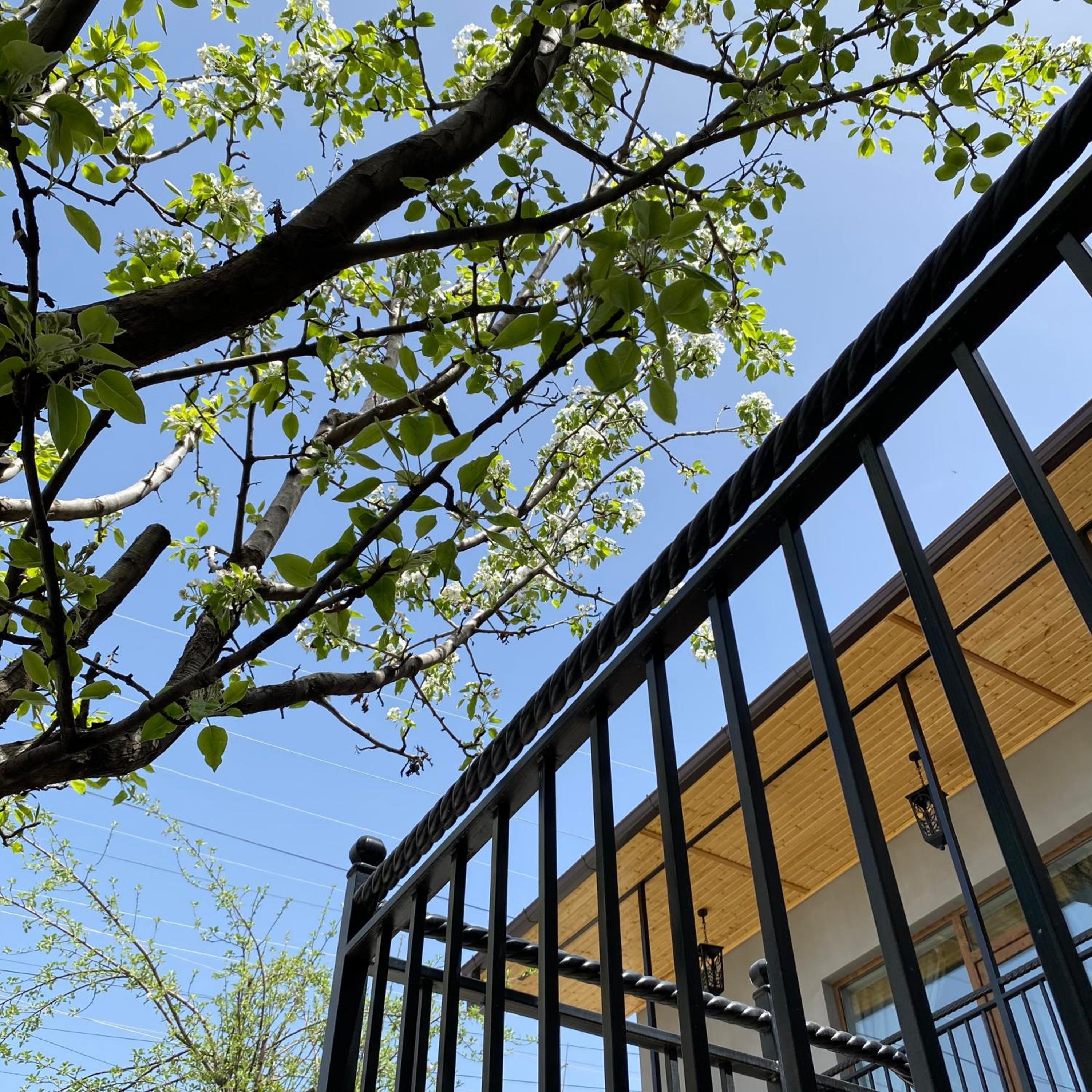 Nur Guest House