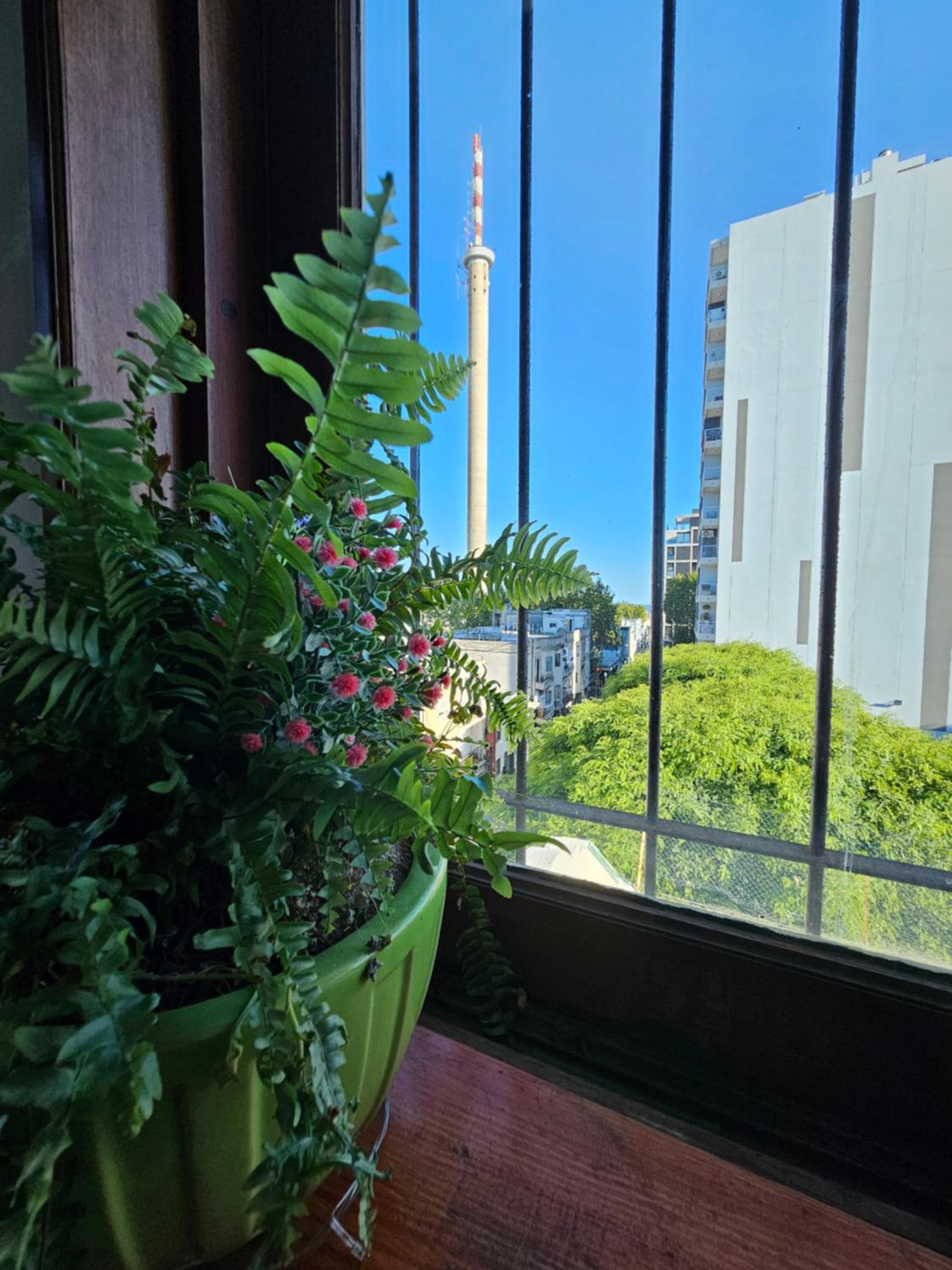 Montevideo Hostel