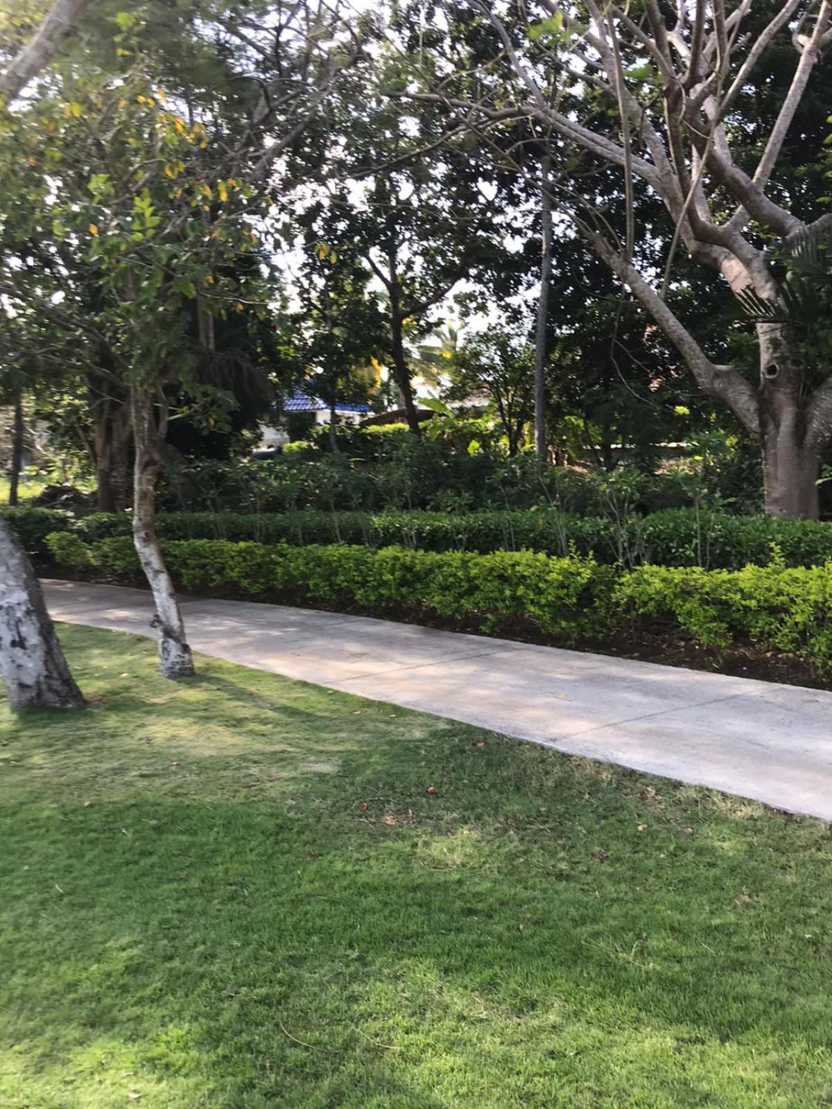 VILLA GUAVABERRY n