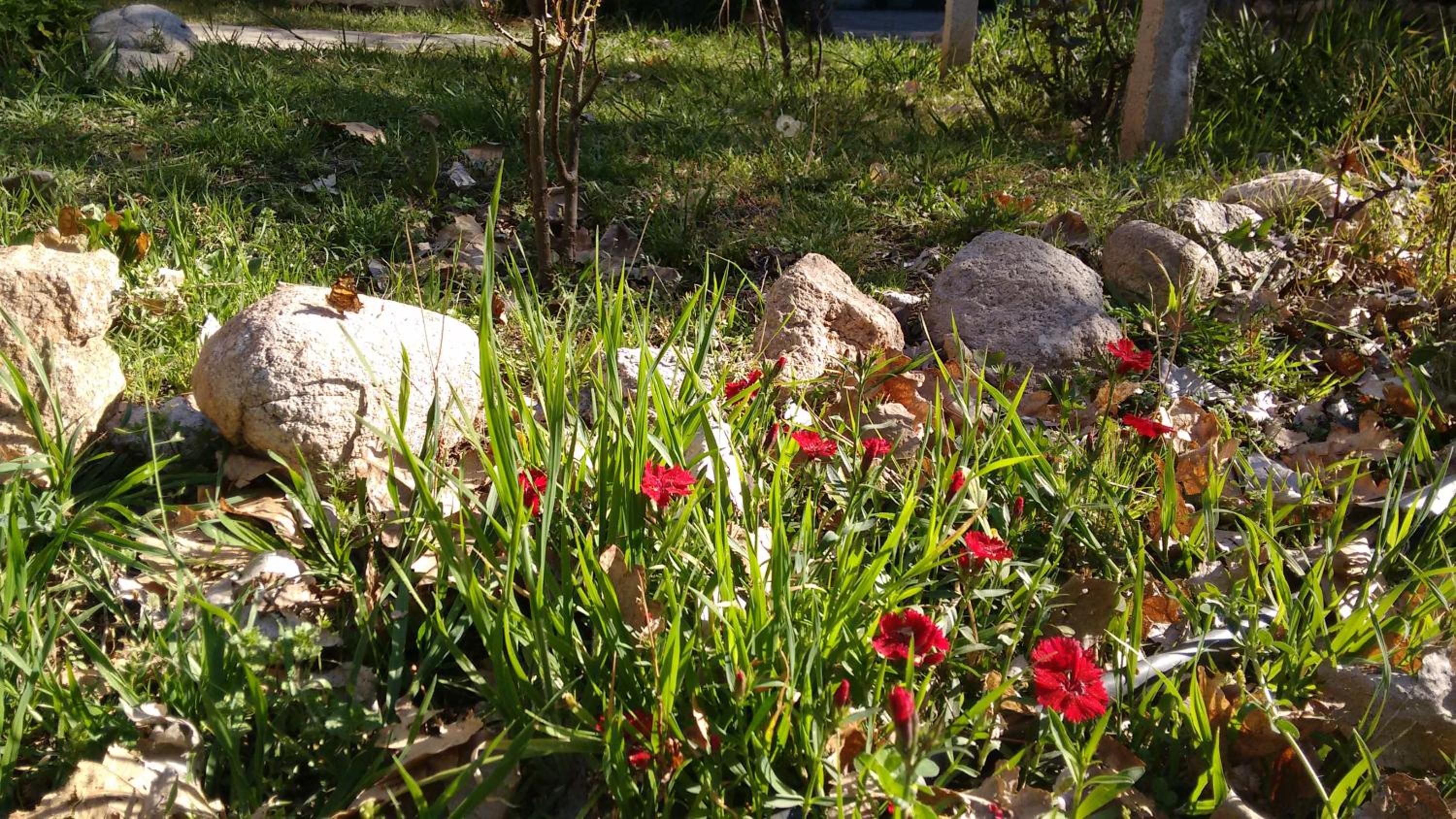 Hostería Rural Monte Bérico