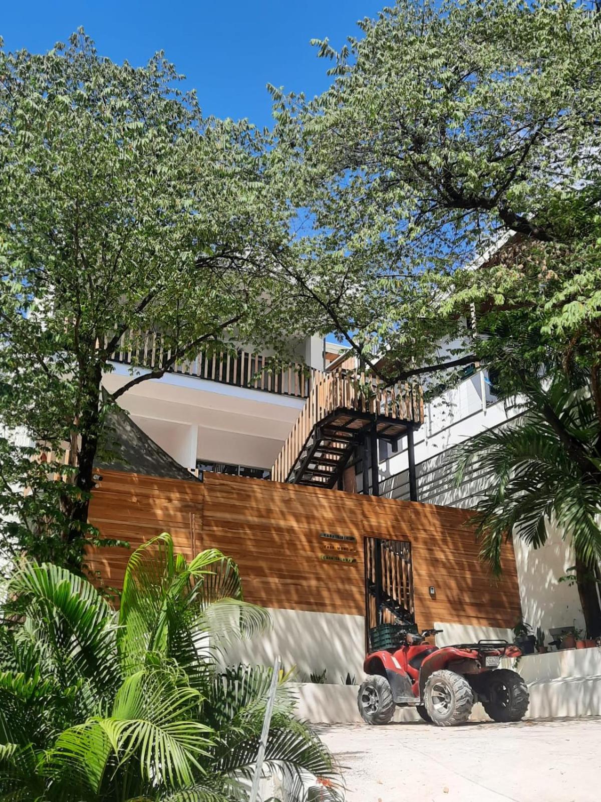 Casa MONO