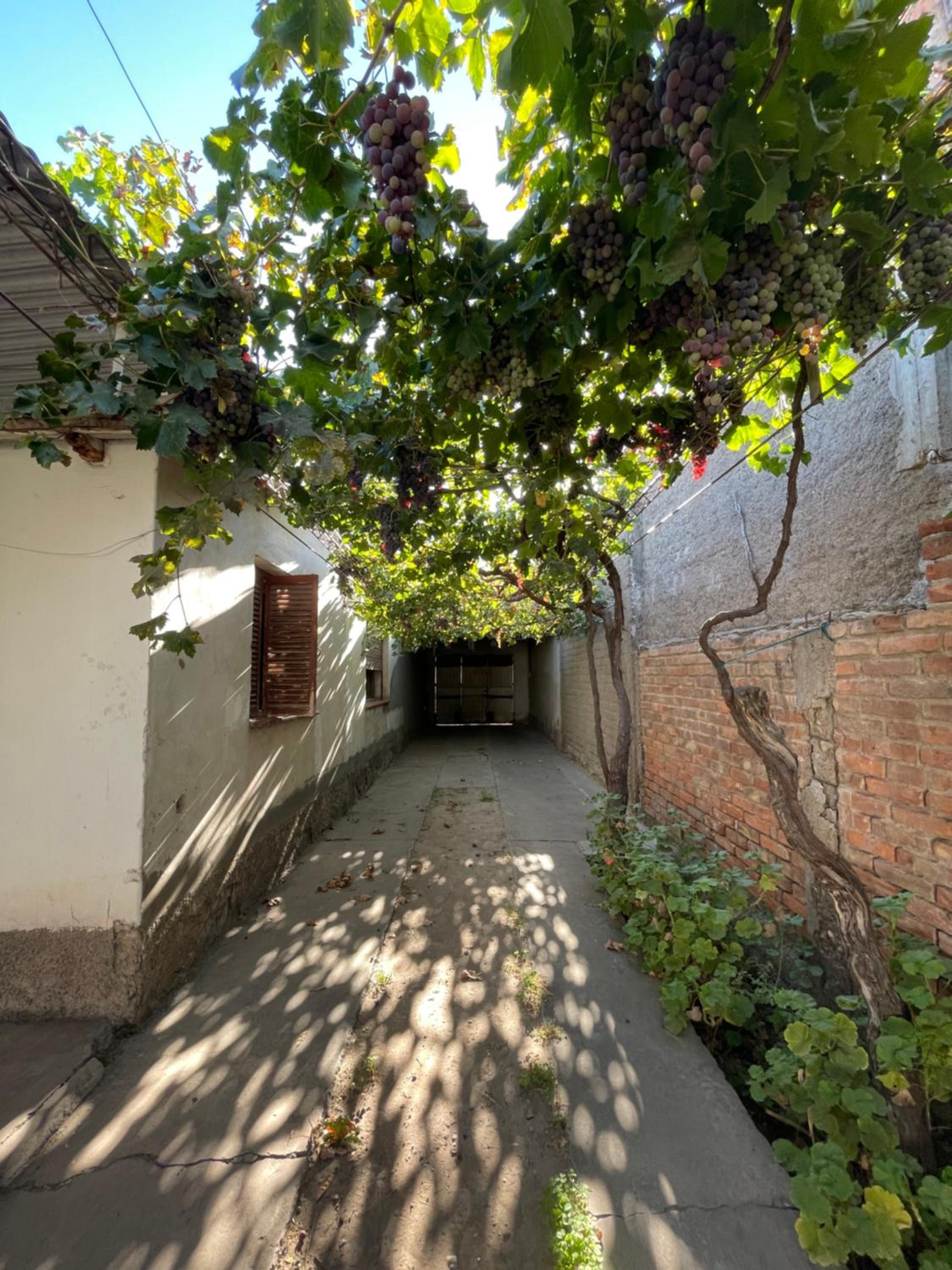 Cabañas El Rosal departamento