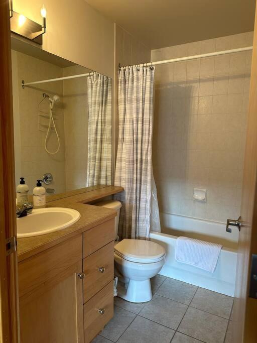 W463 Canmore 2BD 2BT, AC, MT view, Central Location