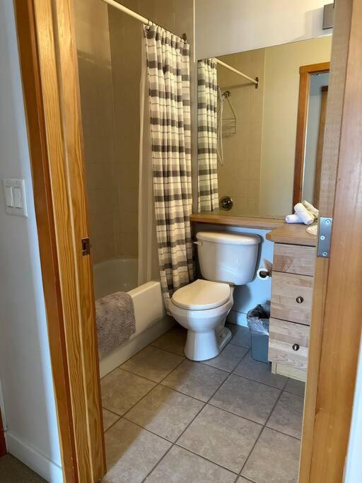 W463 Canmore 2BD 2BT, AC, MT view, Central Location