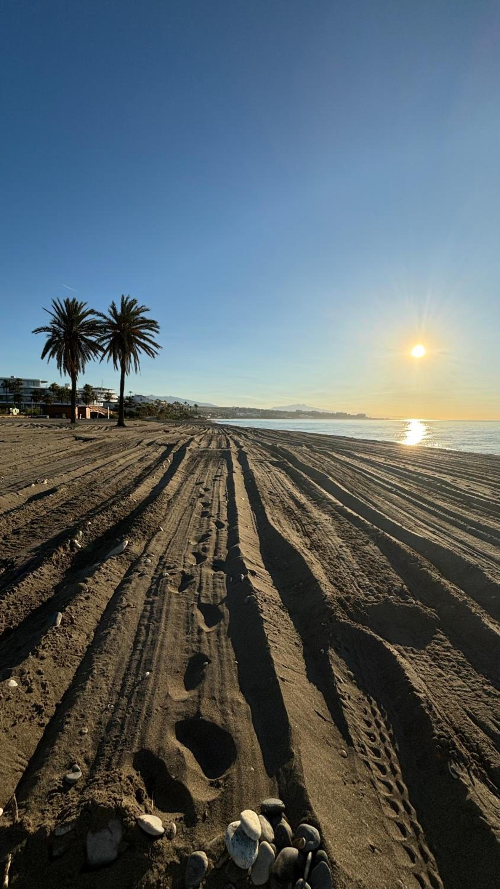 Diletta Beach Estepona