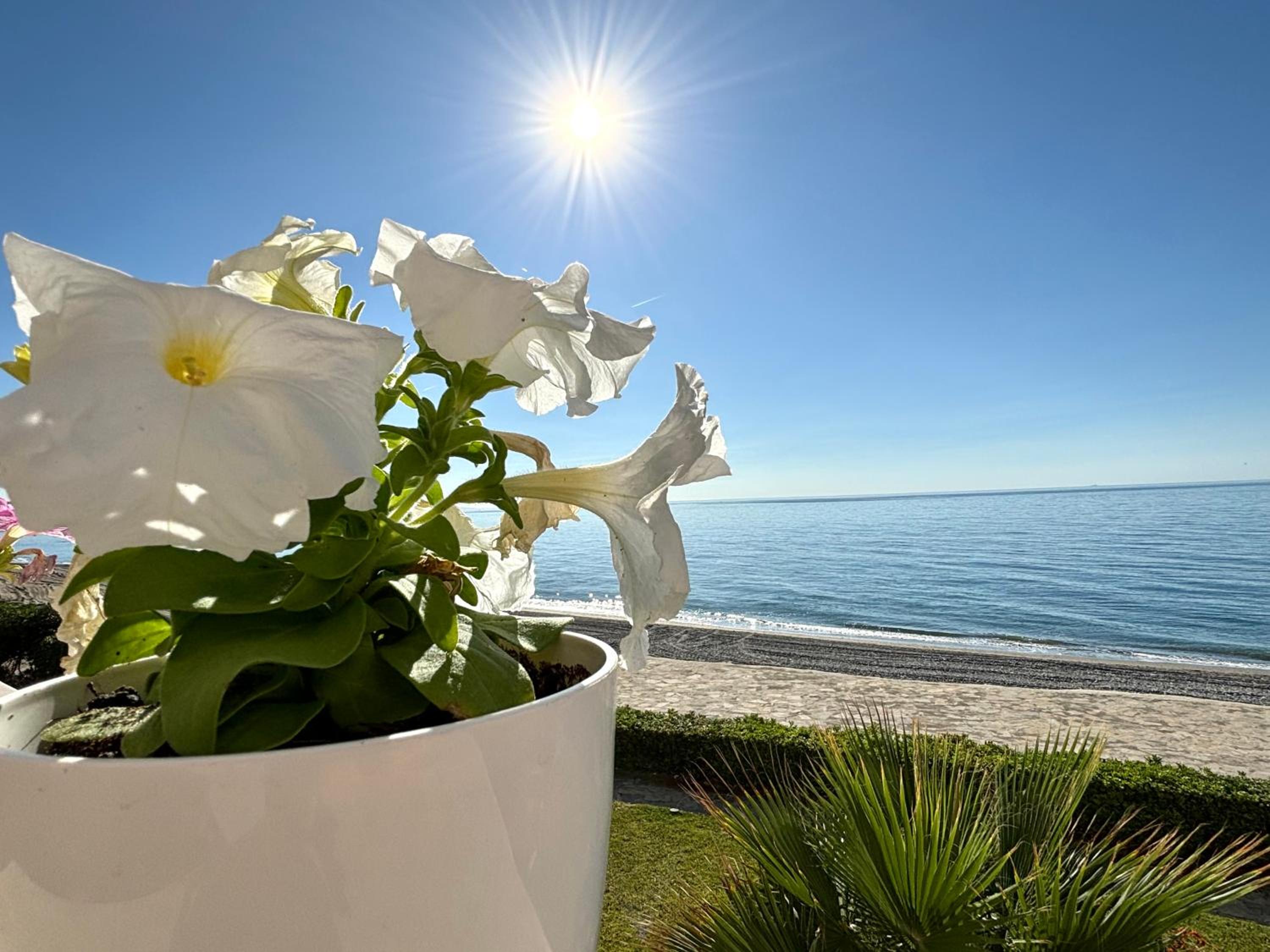 Diletta Beach Estepona