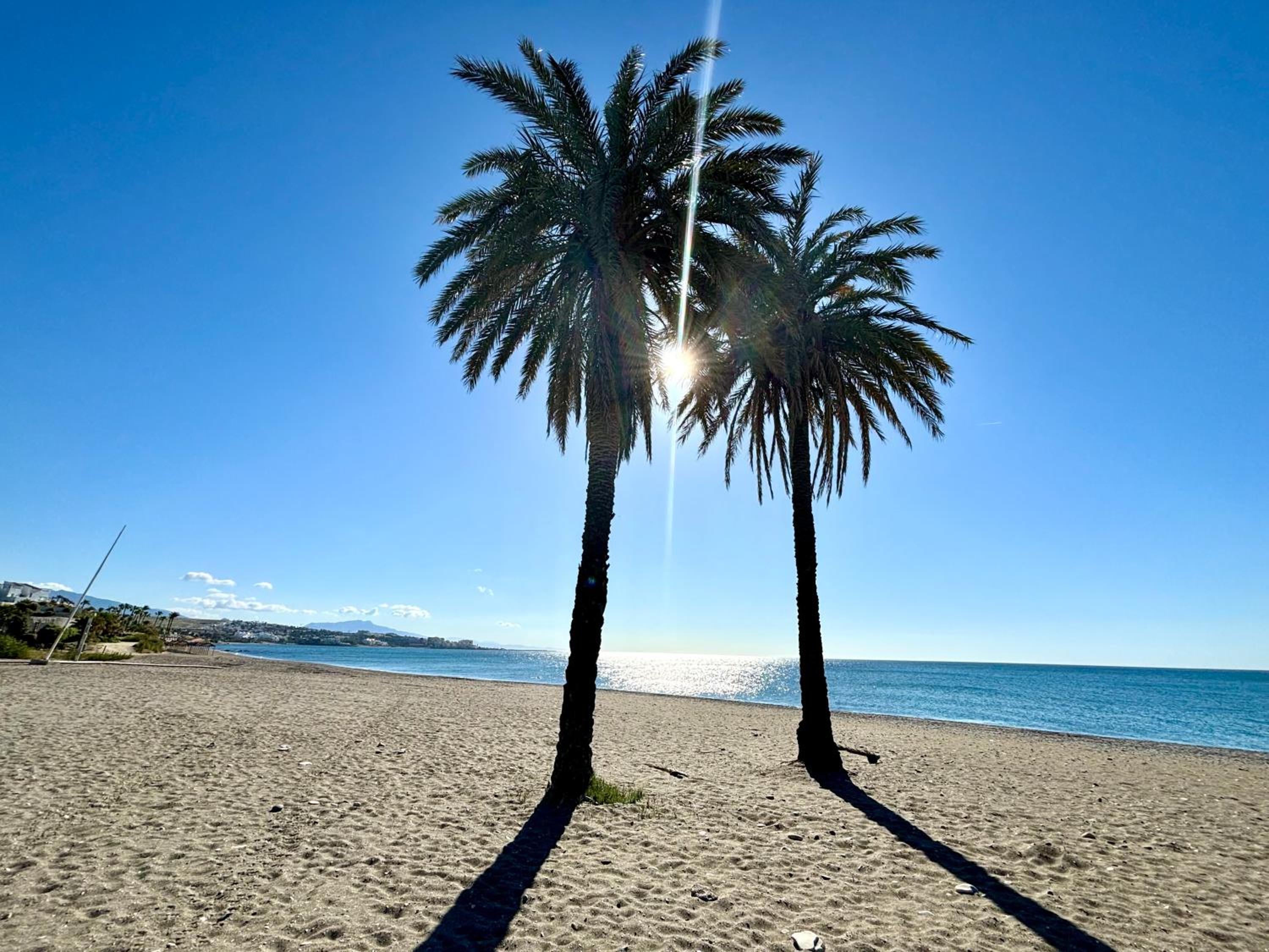 Diletta Beach Estepona