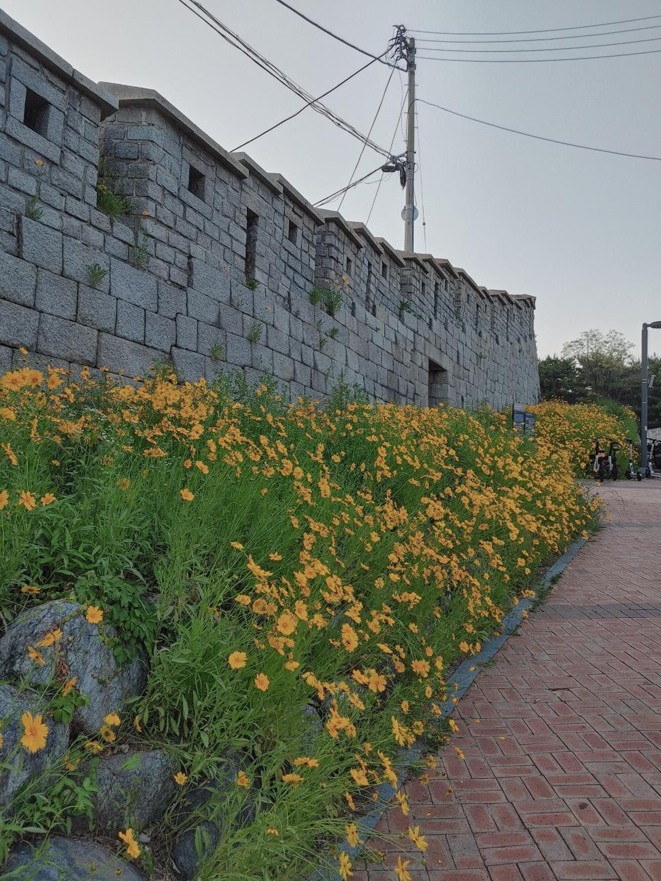 Cobe Guesthouse Dongdaemun