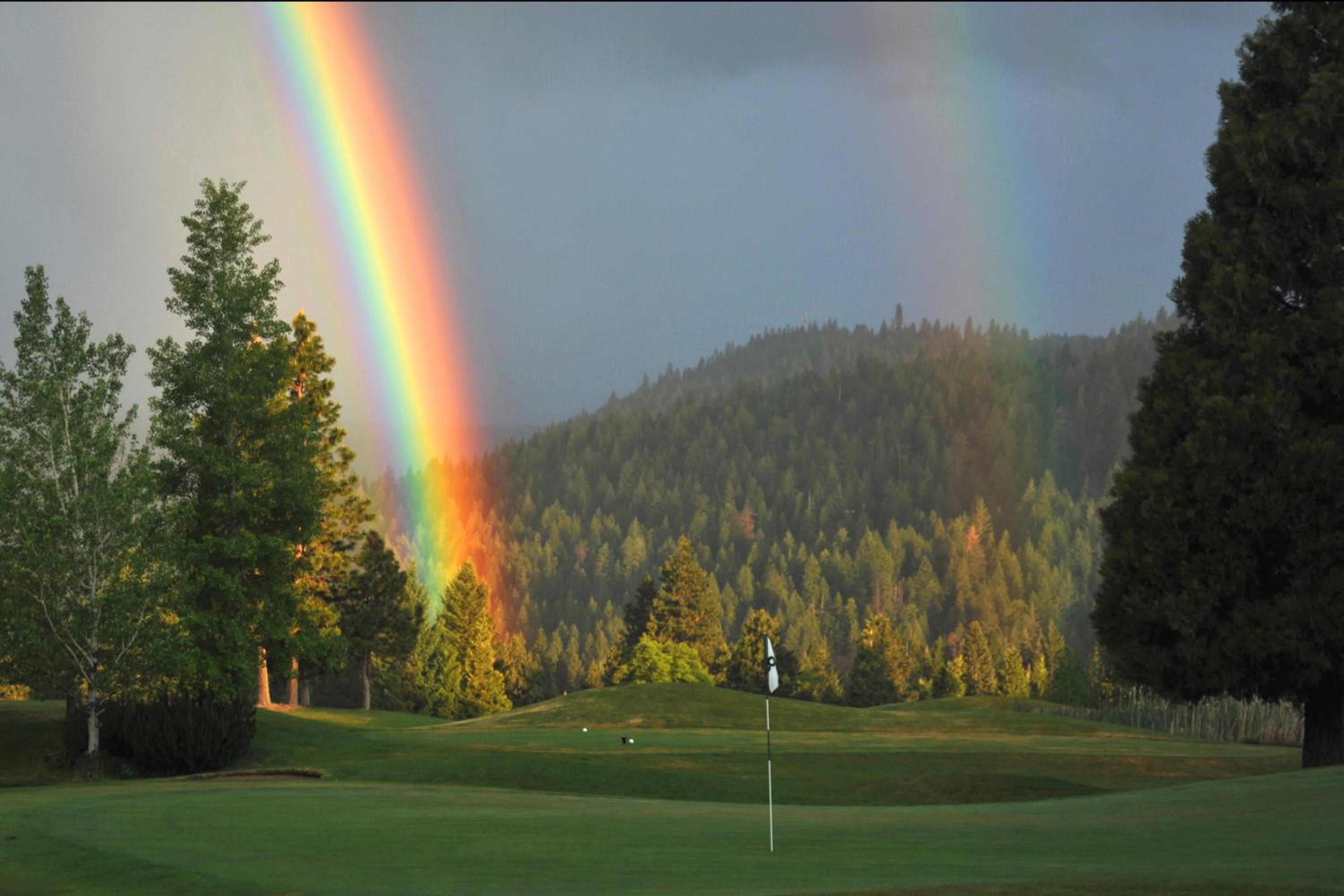 Mount Shasta Resort
