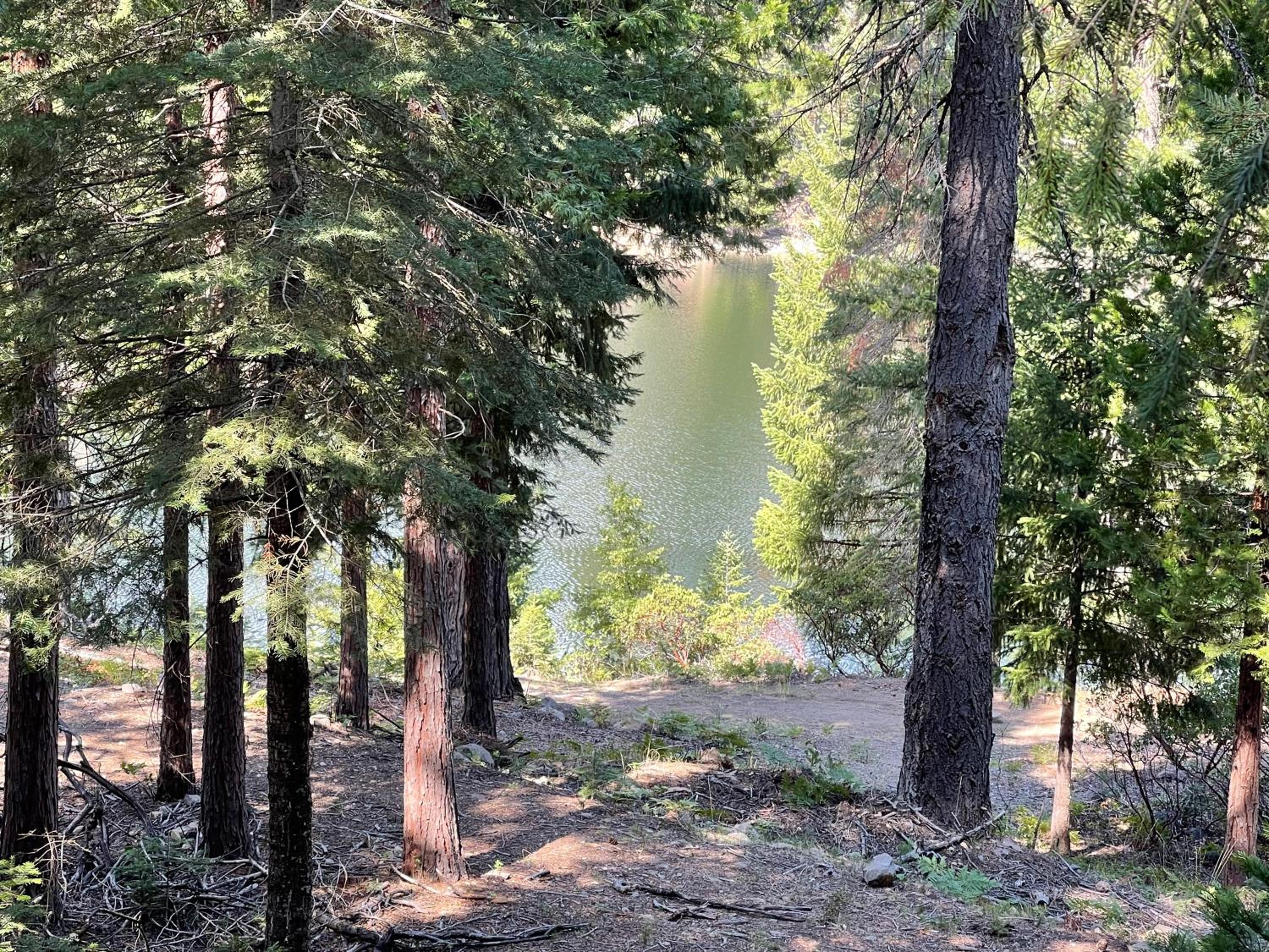 Mount Shasta Resort