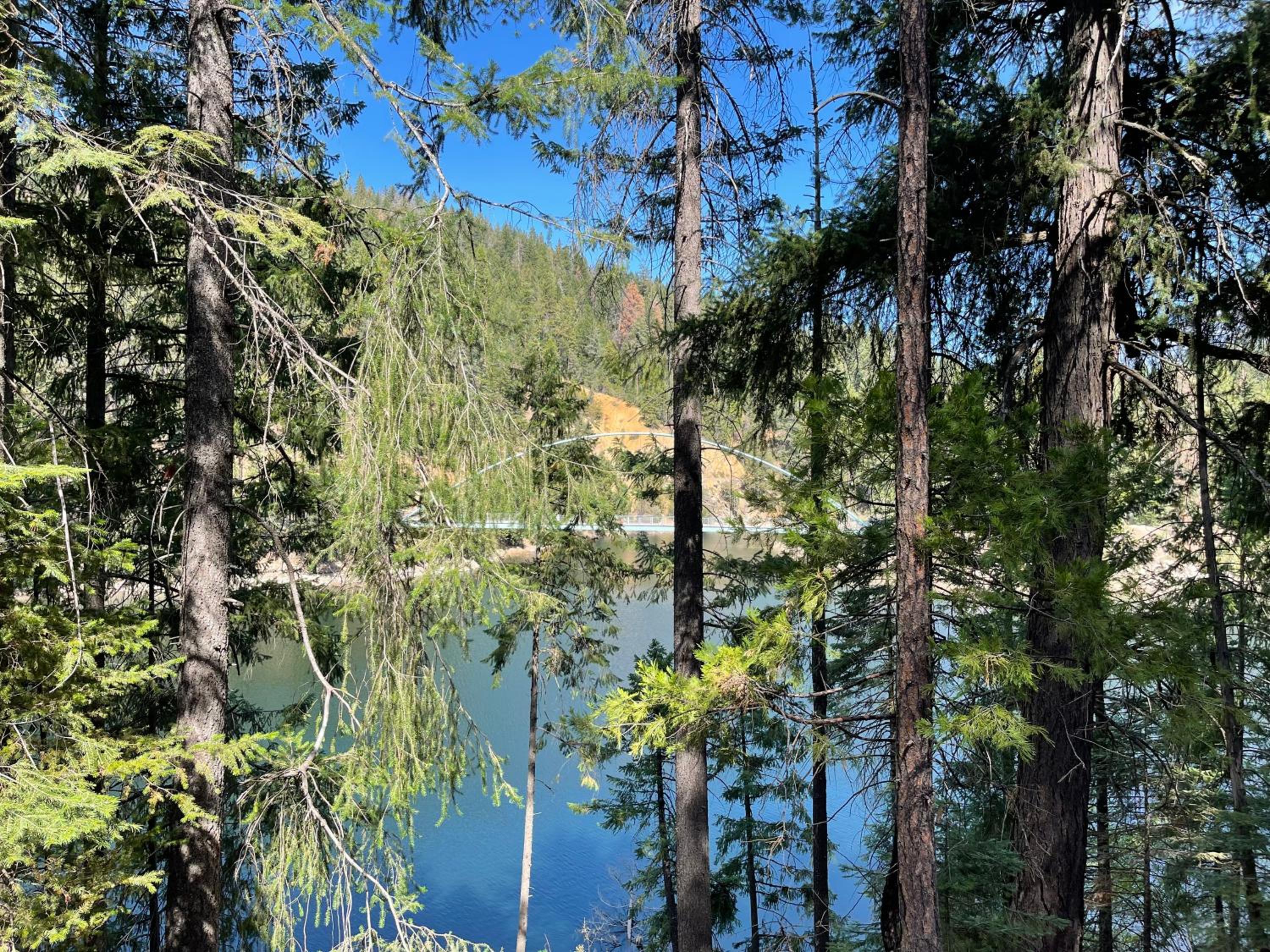 Mount Shasta Resort