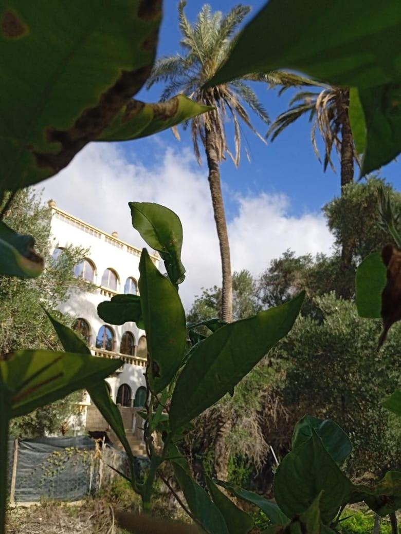 GITE Vallee Verte view 2