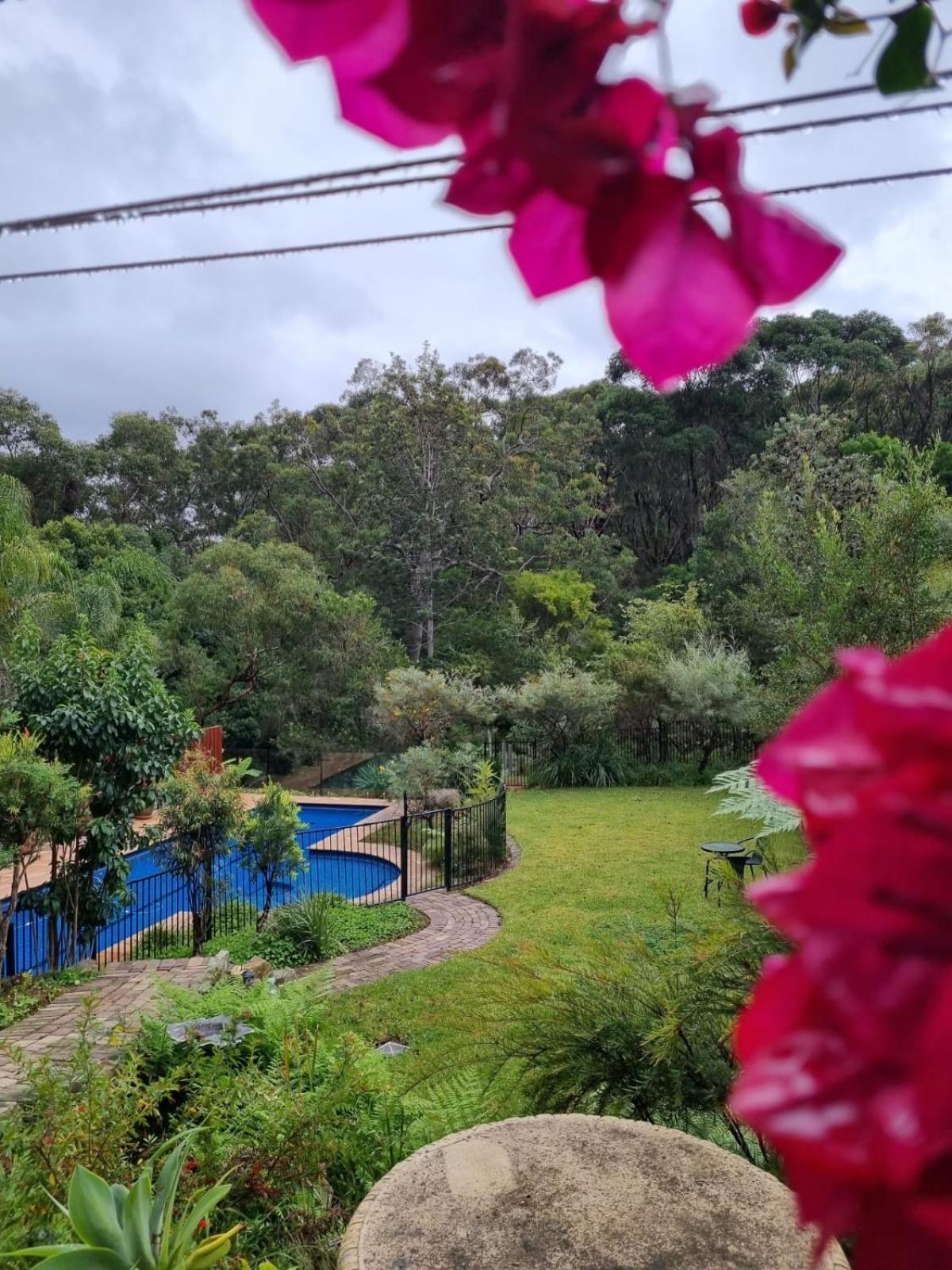 Poolside oasis - Sydney