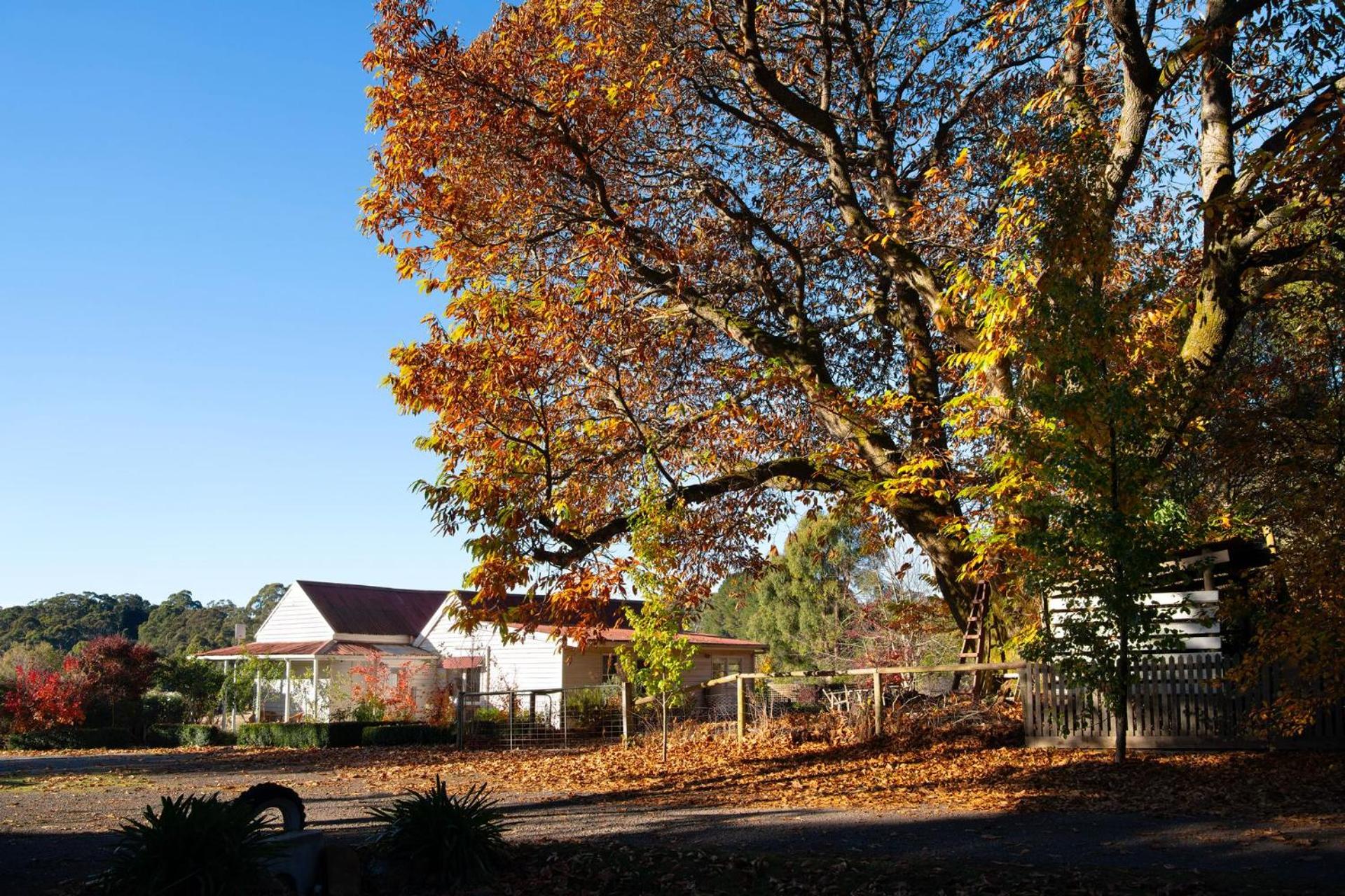Blacksmiths Cottage