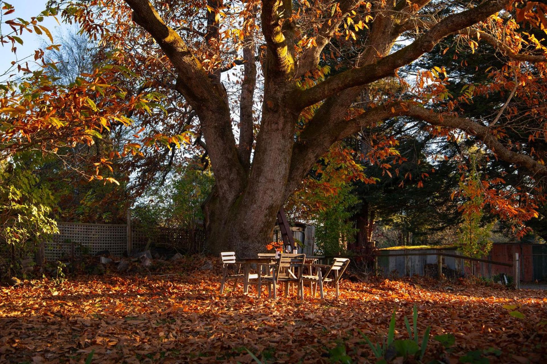 Blacksmiths Cottage