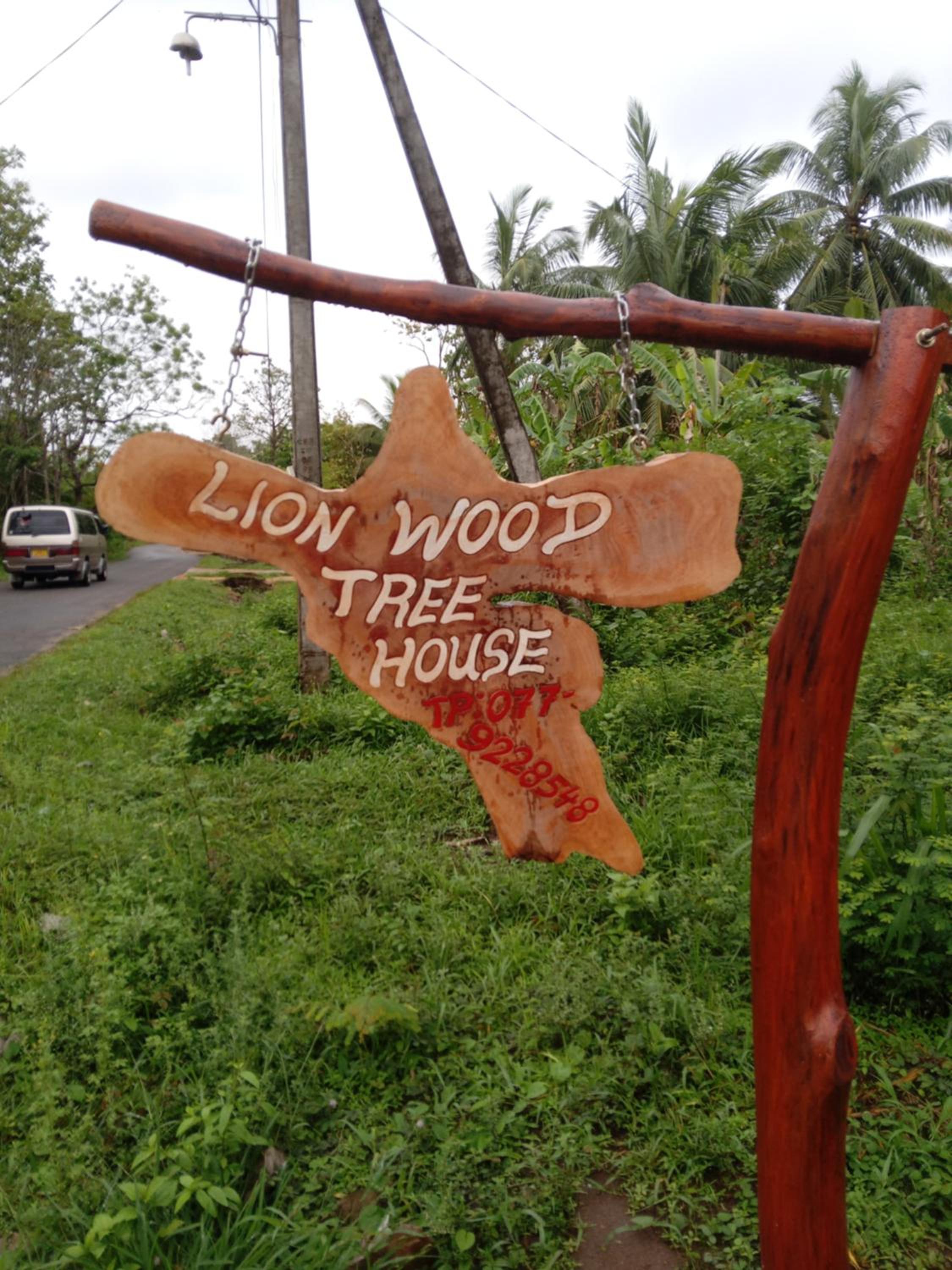 Lion Wood Treehouse