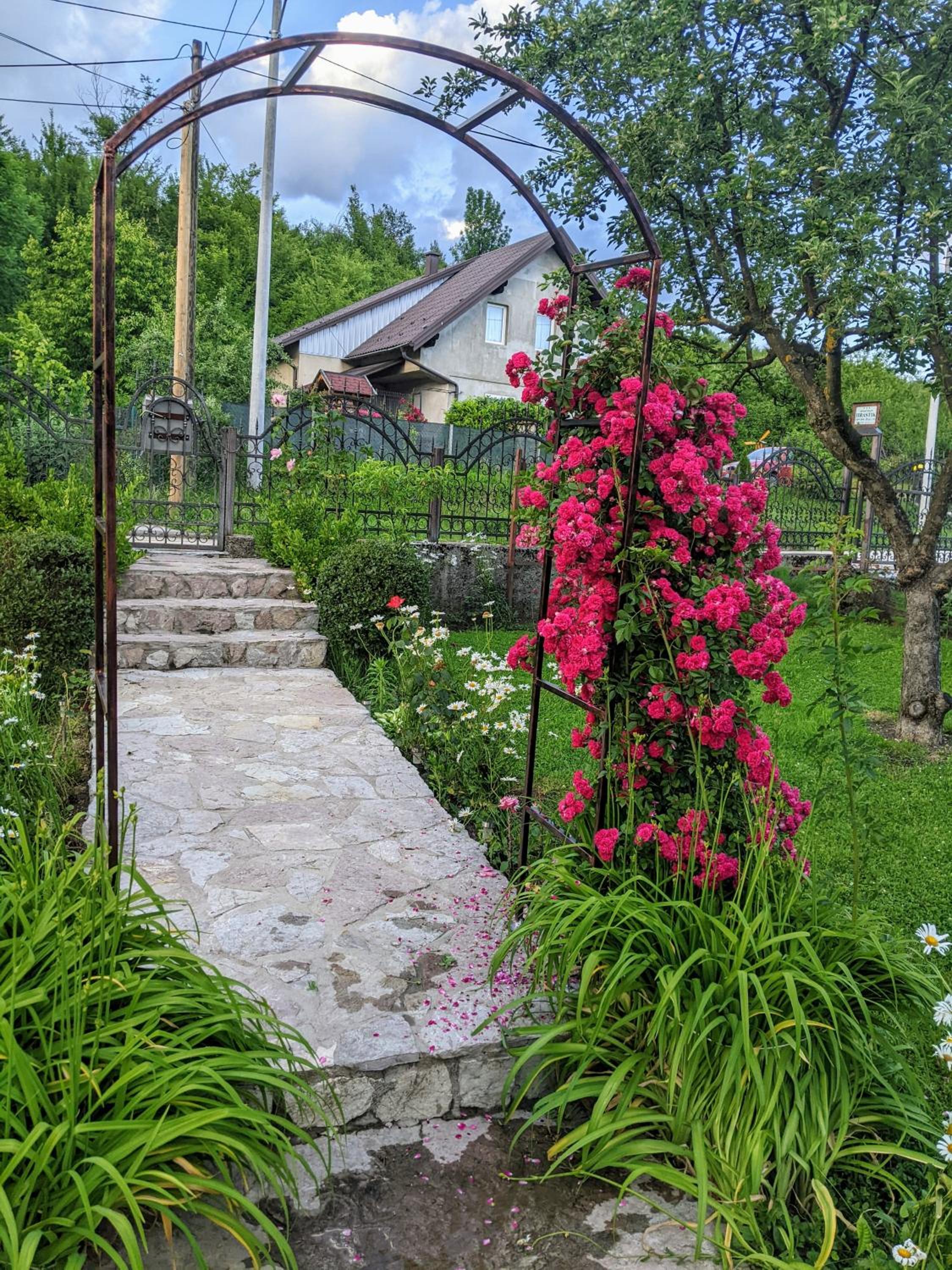 Apartmani Hrastik 1