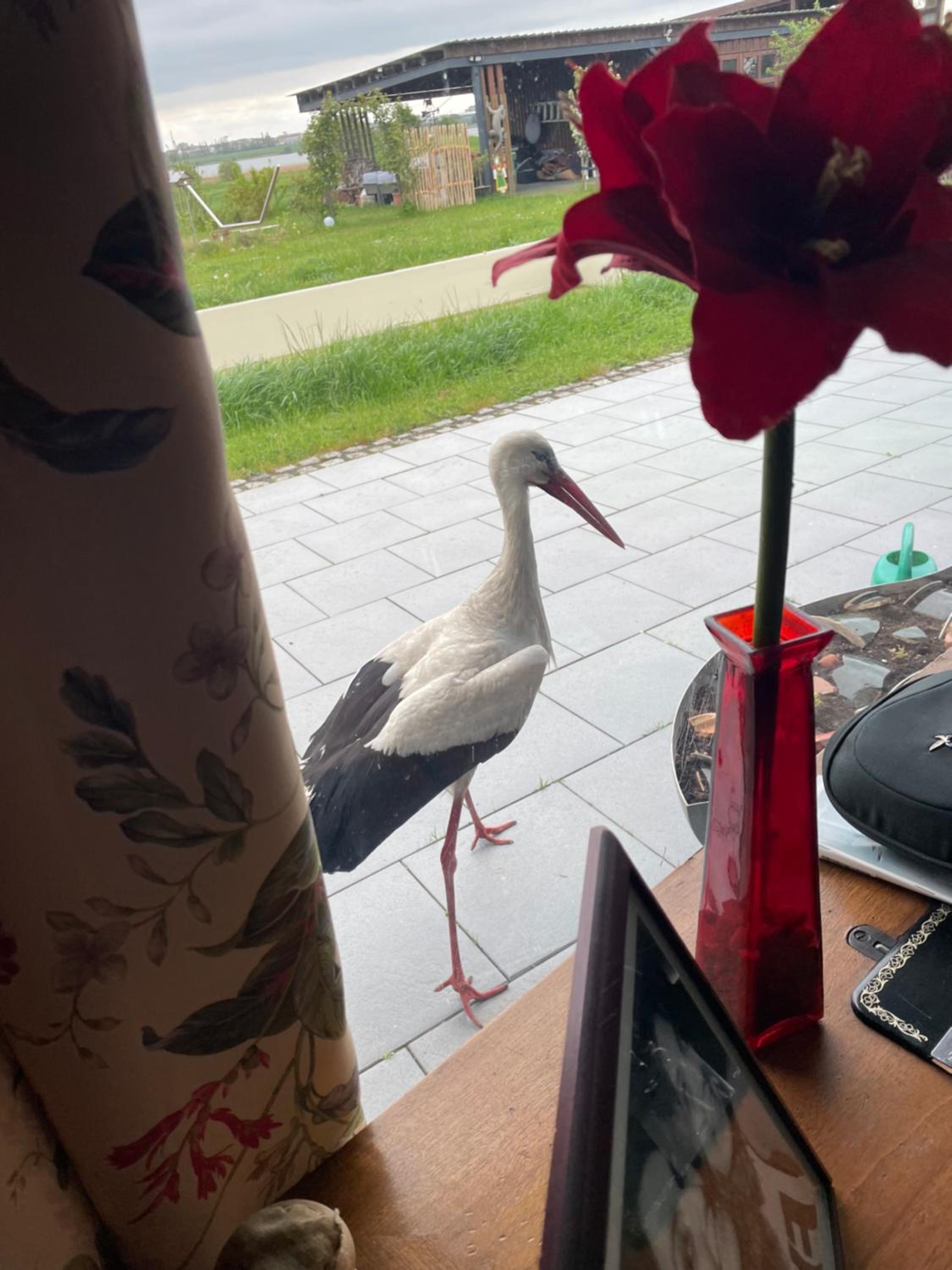 Ferienparadies Nonnensee