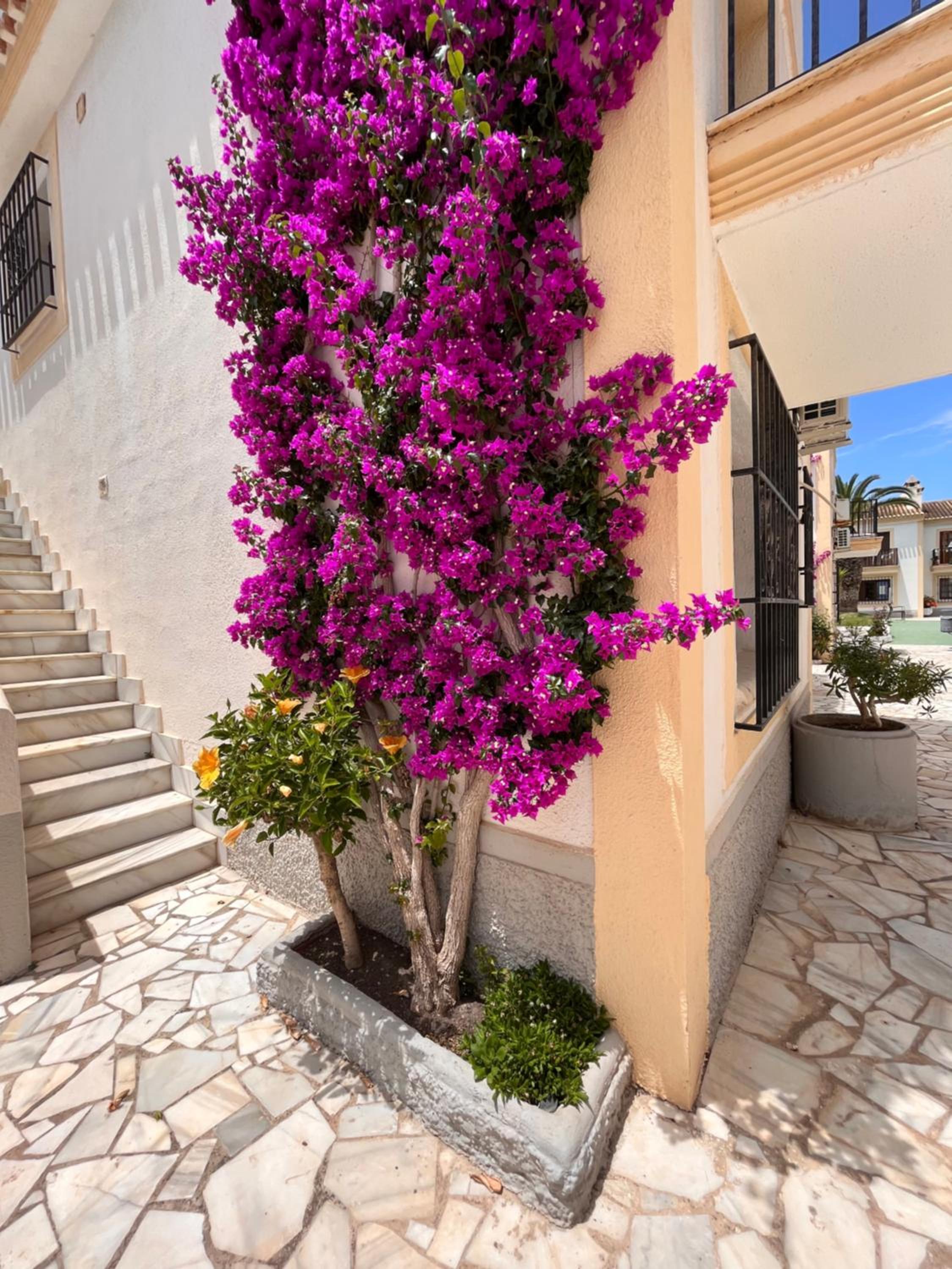 Apartamento Alhambra Vera Costa con piscina abierta todo el año