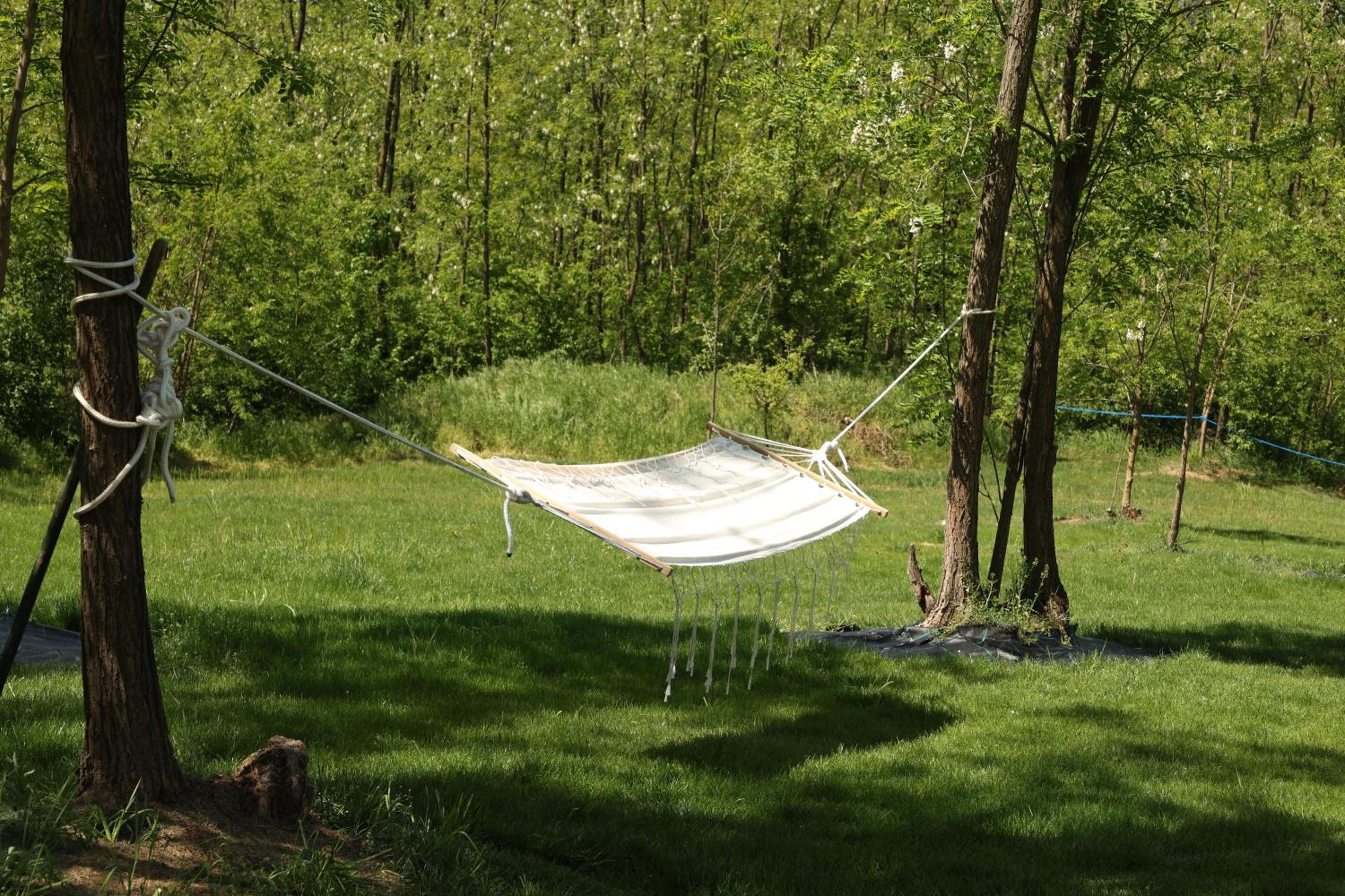 Glamping Beograd