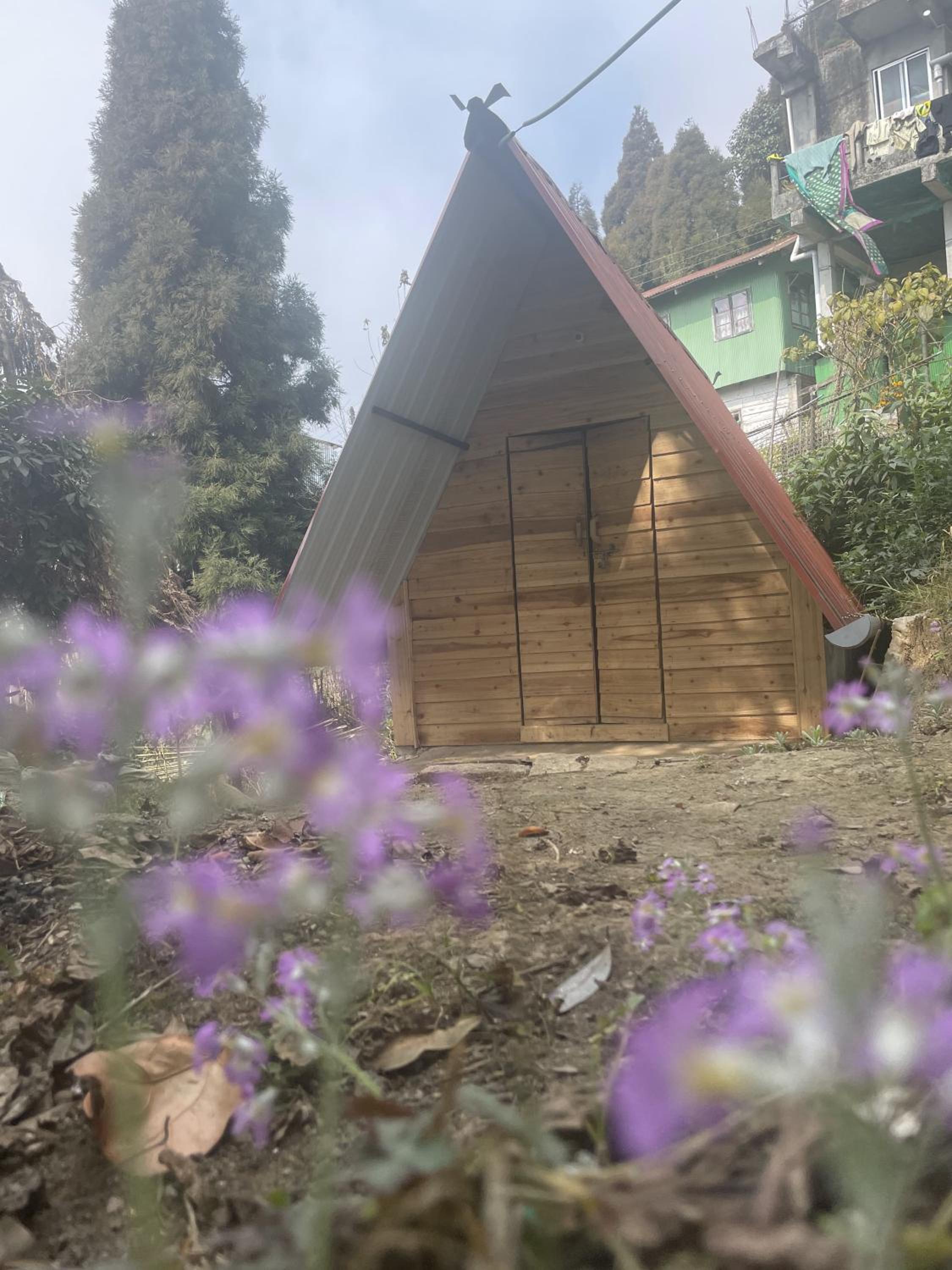 Guest-Beds Homestay view 4