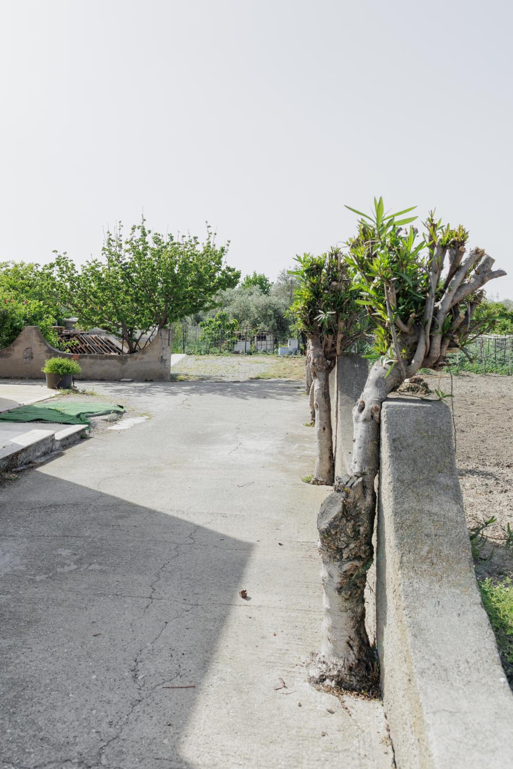 Casa Vico Primo Guido view 4