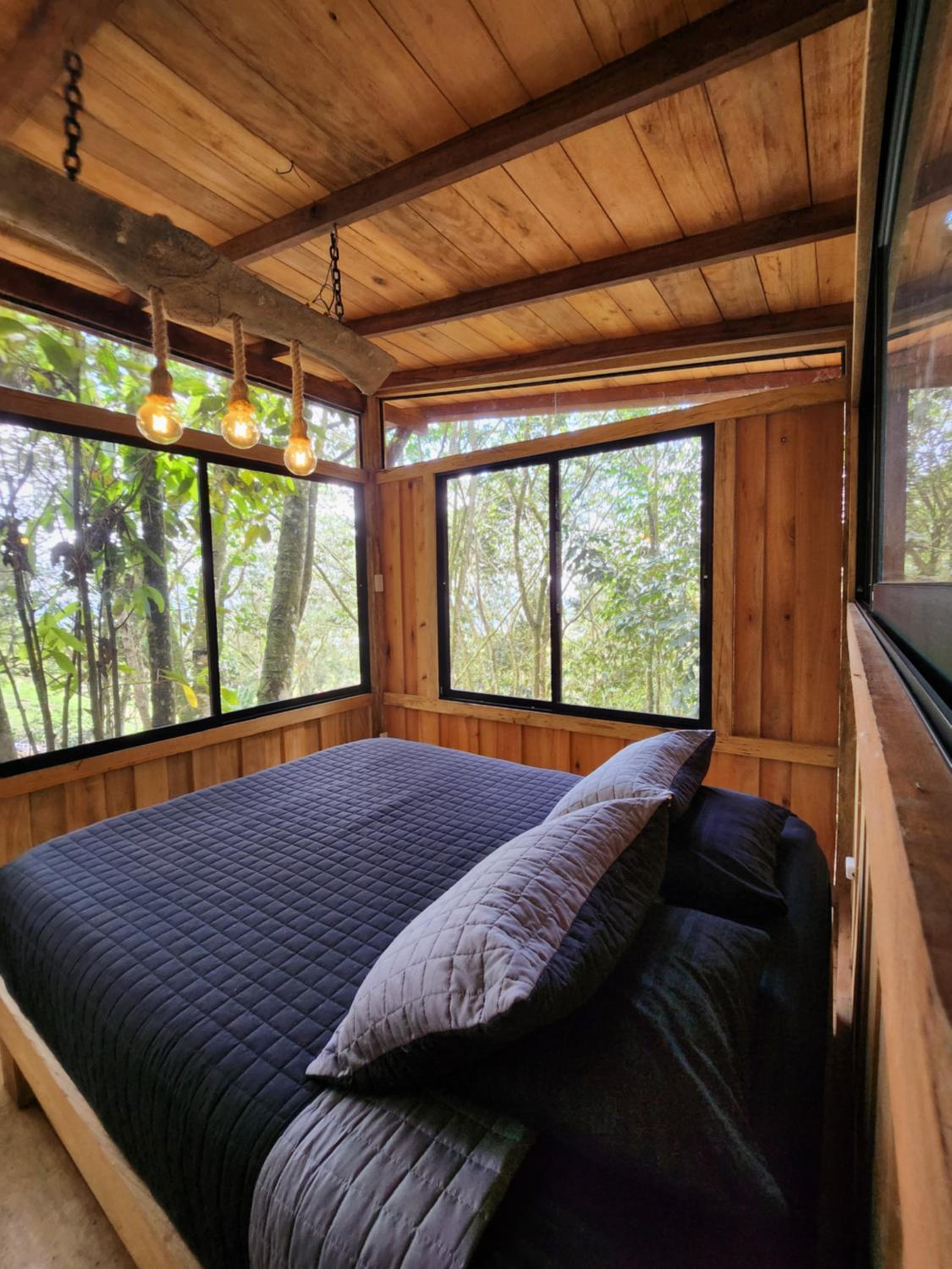 Zen oasis del bosque casa arbol