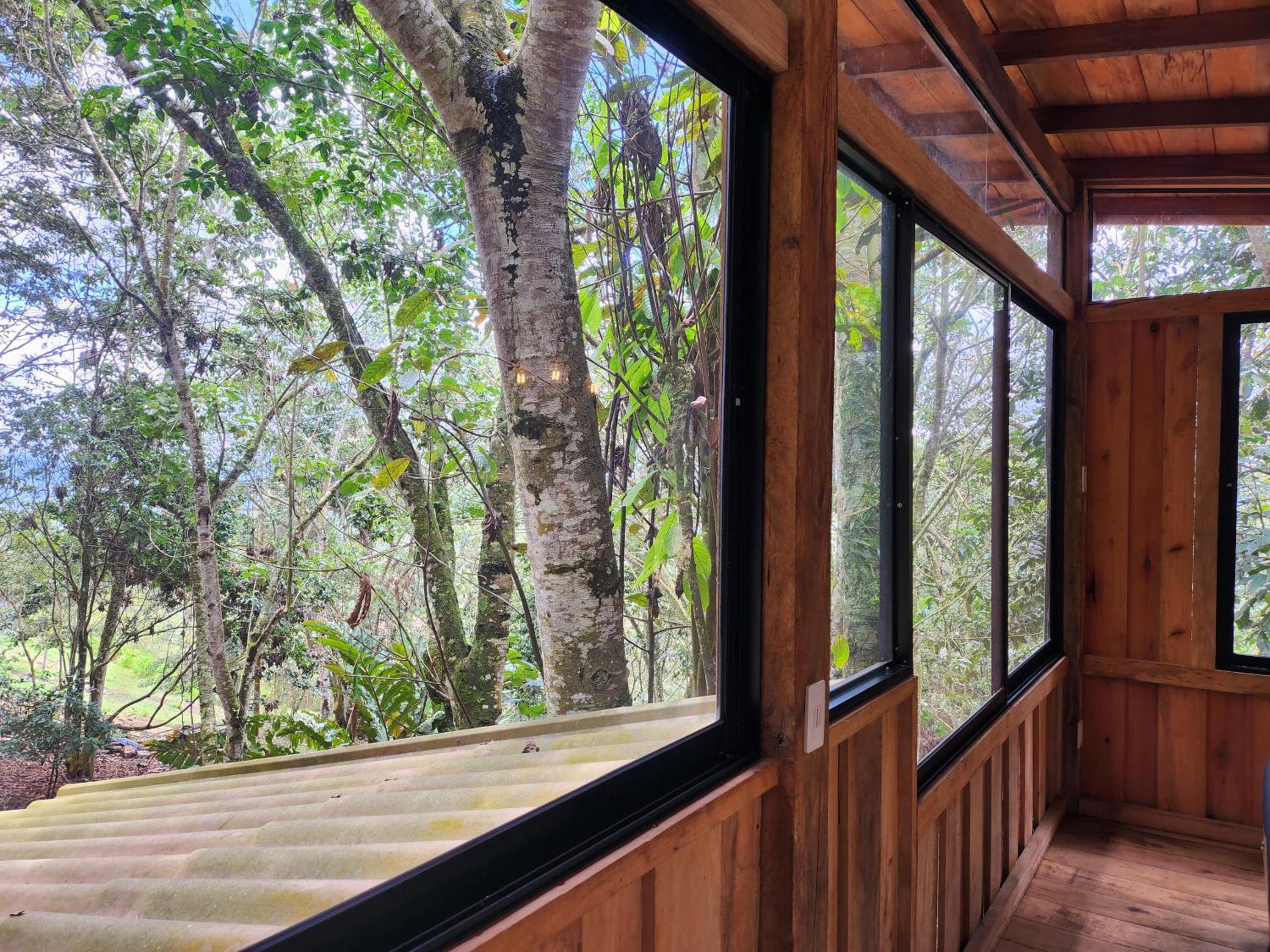 Zen oasis del bosque casa arbol
