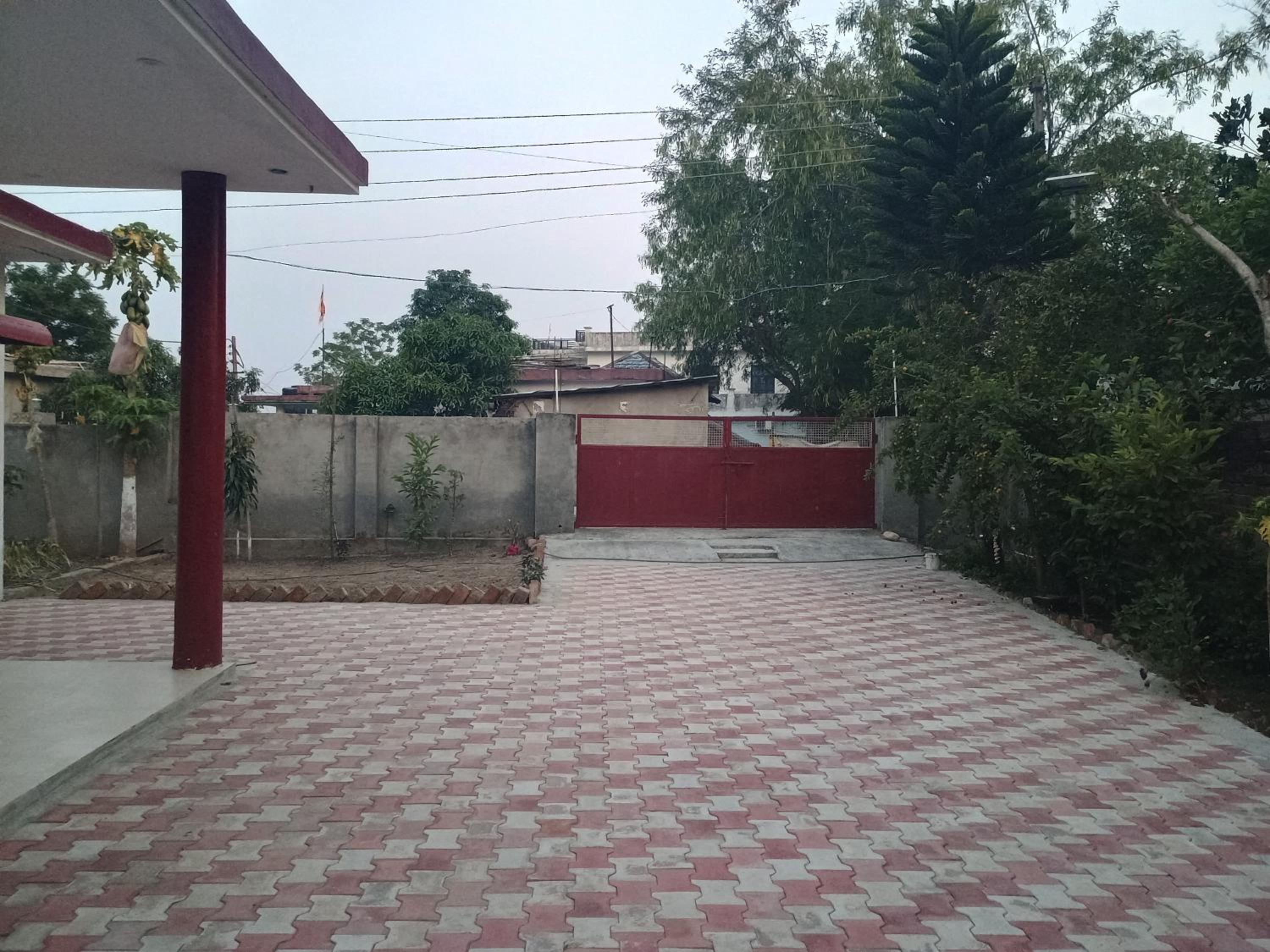 Photo 14