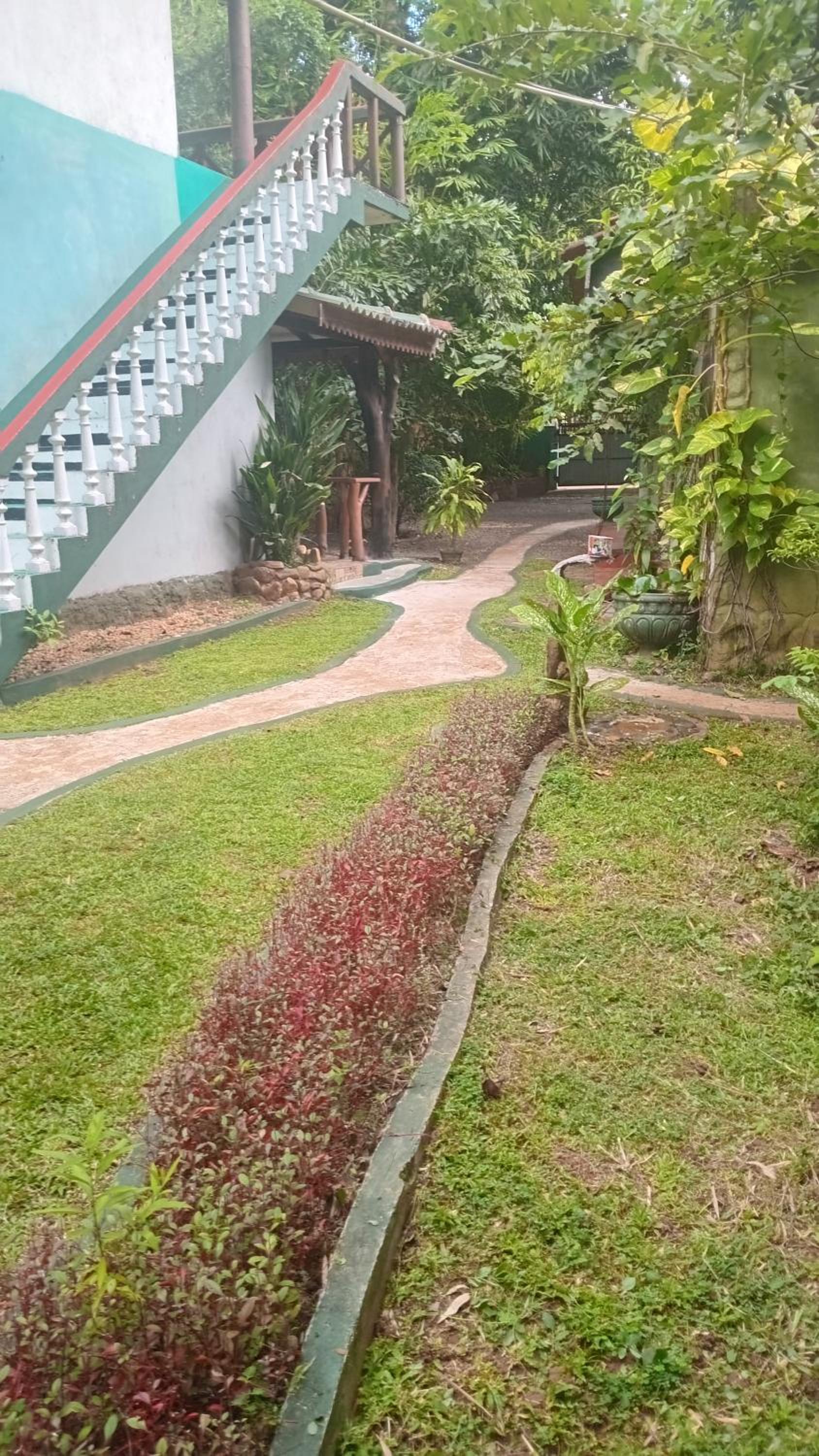 Mango Tree Hut
