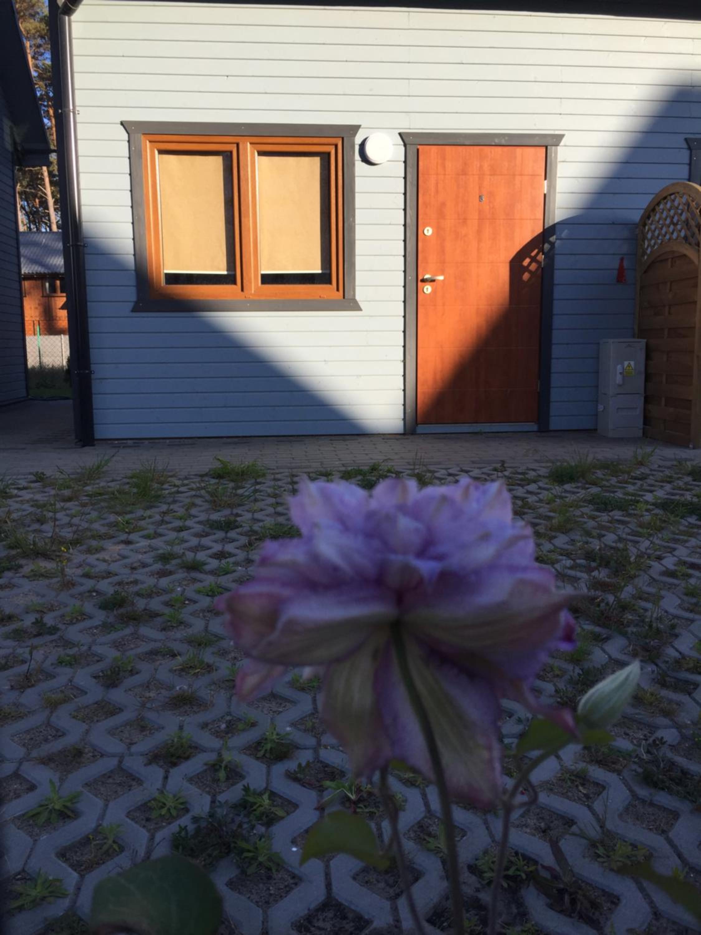 Photo 34