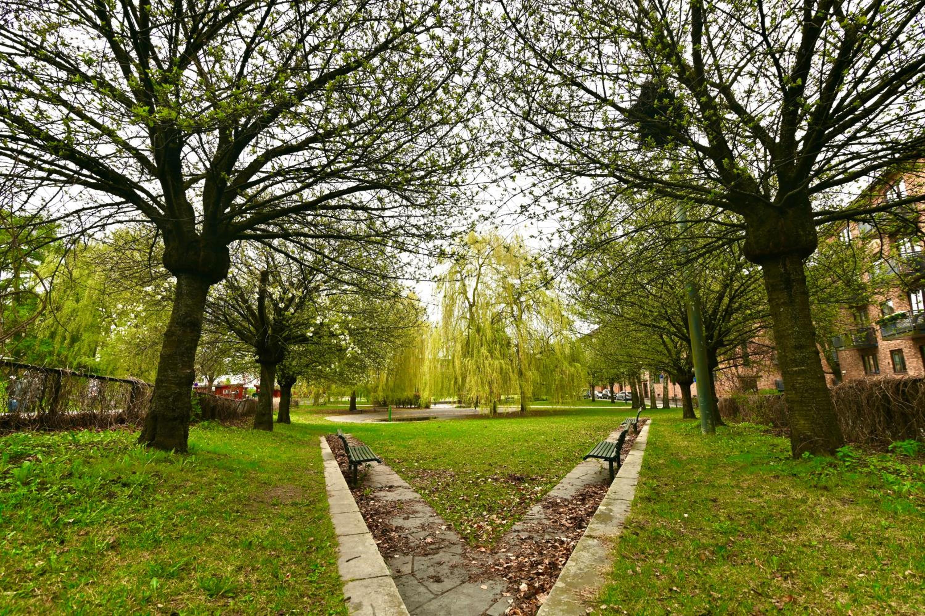 Photo 18