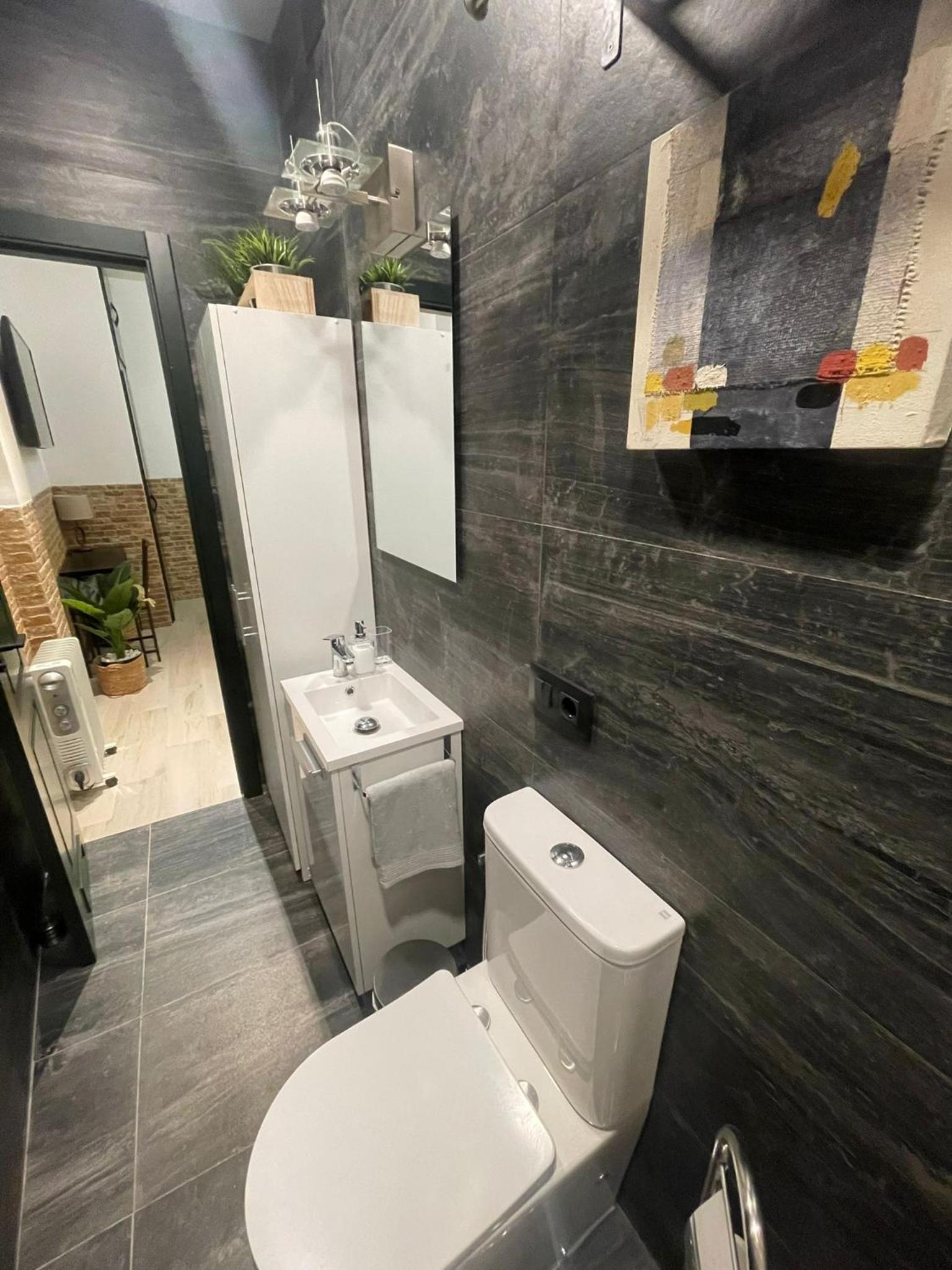 Cañal Urban Apartment photo 4