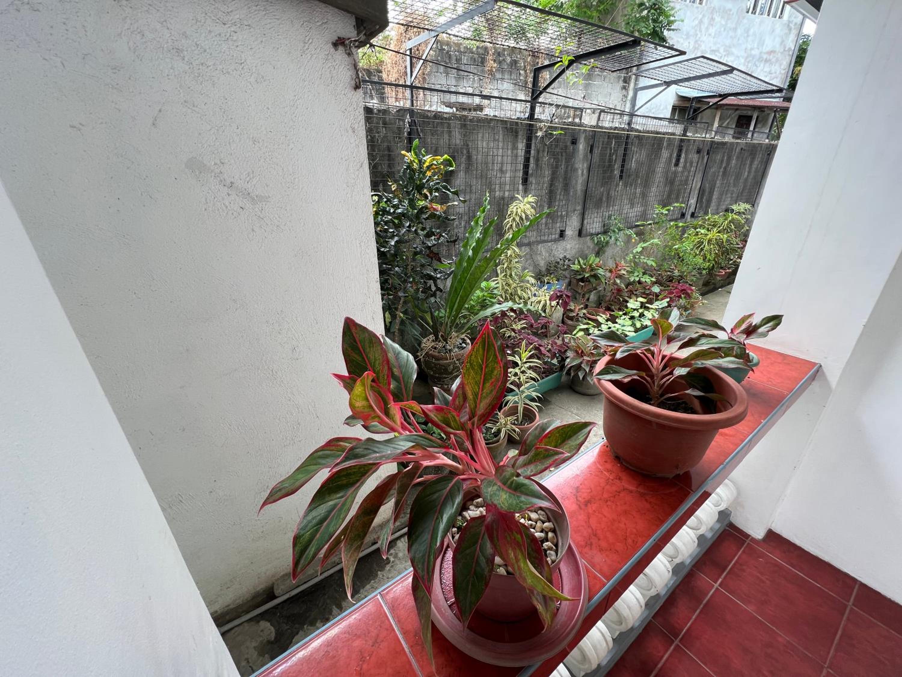 Photo 31