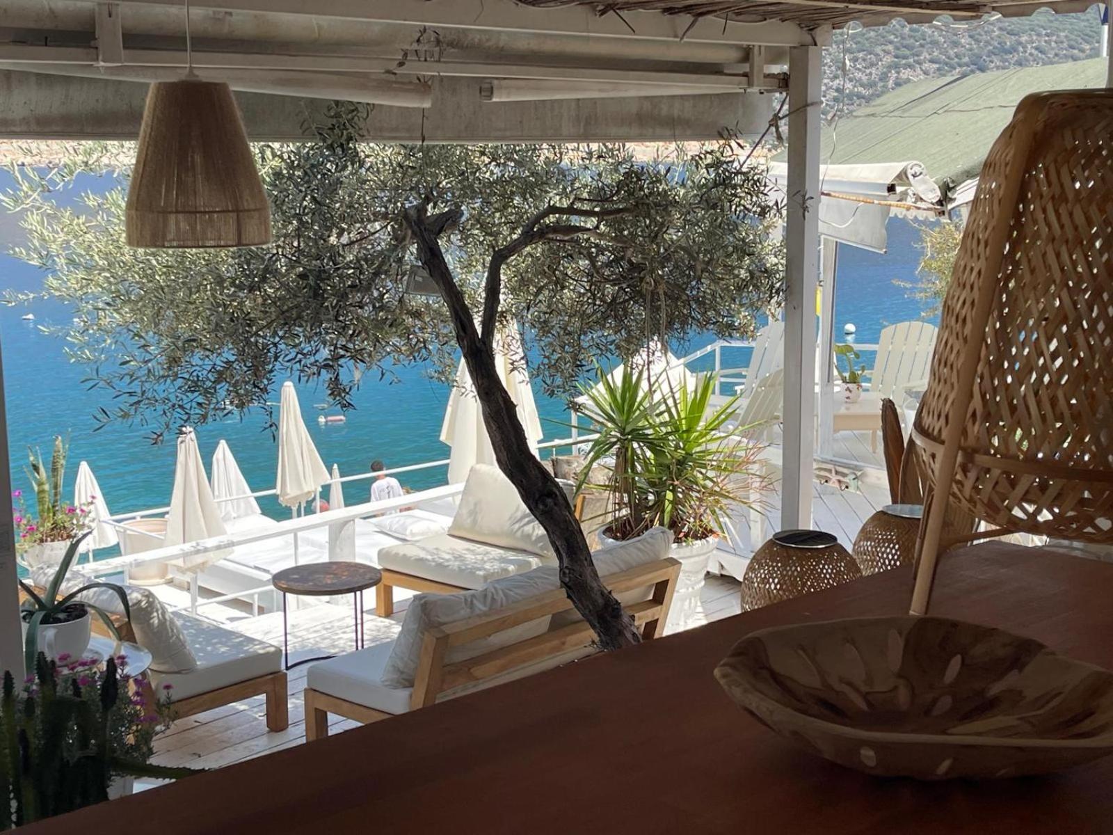 Club Çapa Hotel - Image 221