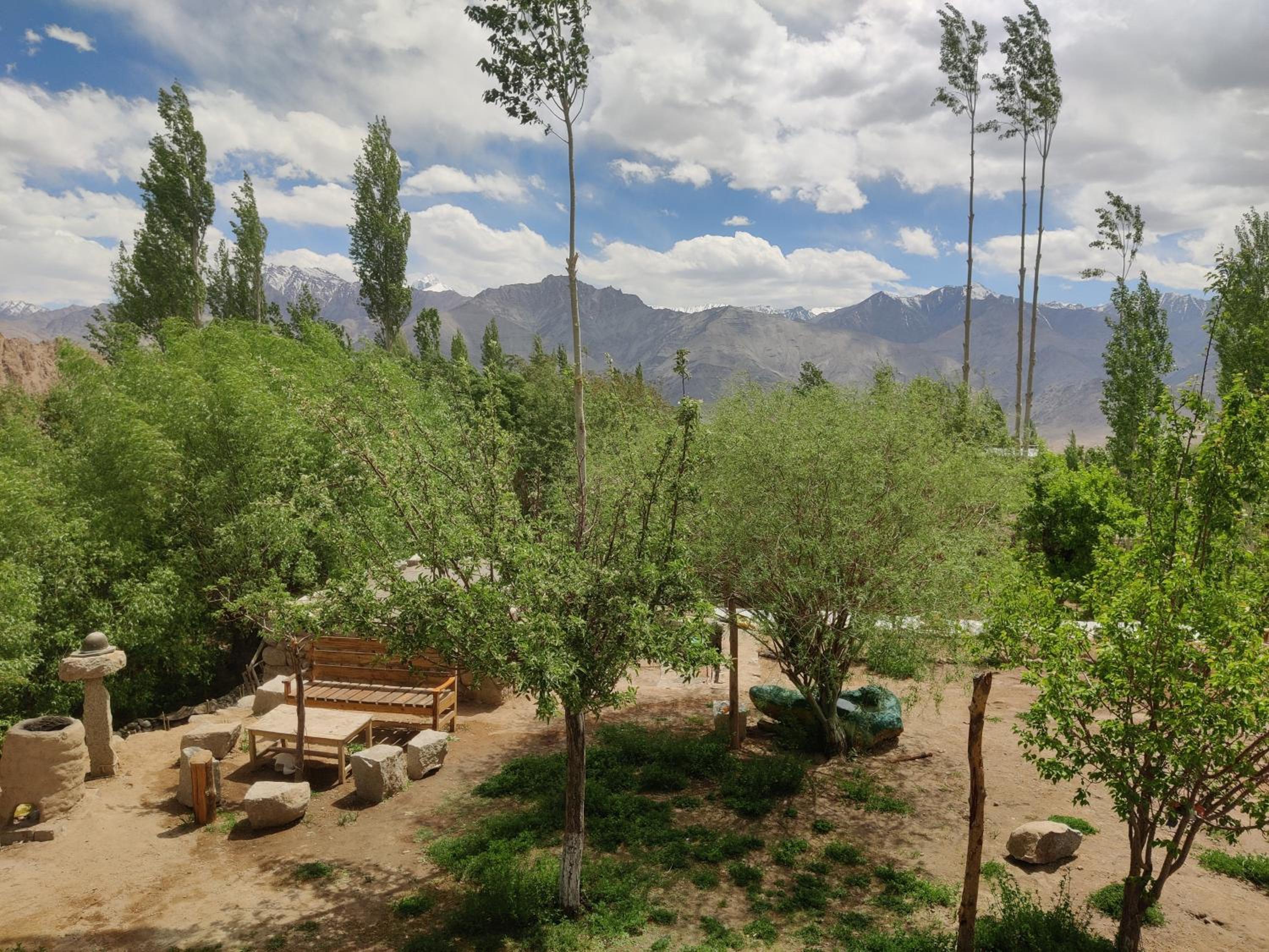 Mud House Phyang leh ladakh view 4
