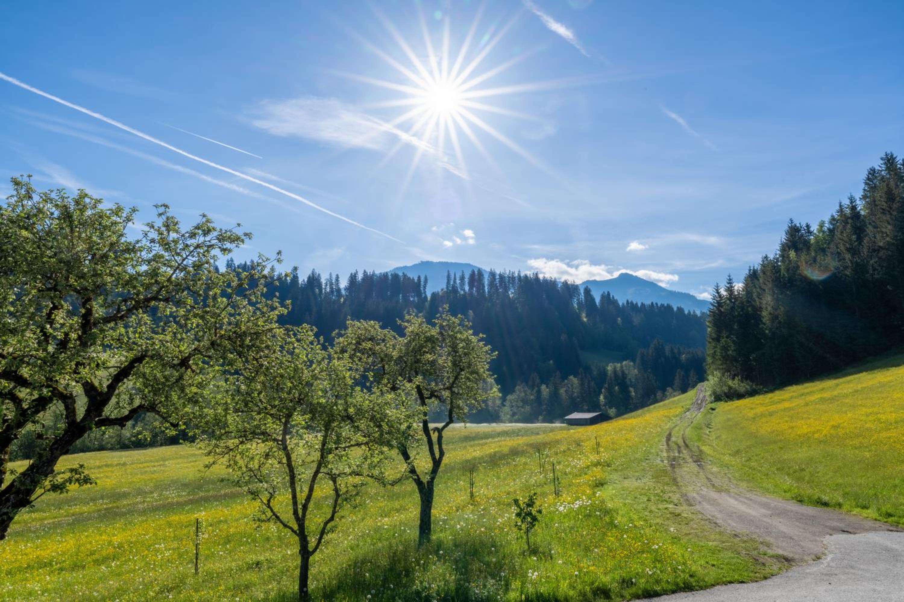 Getznerhof