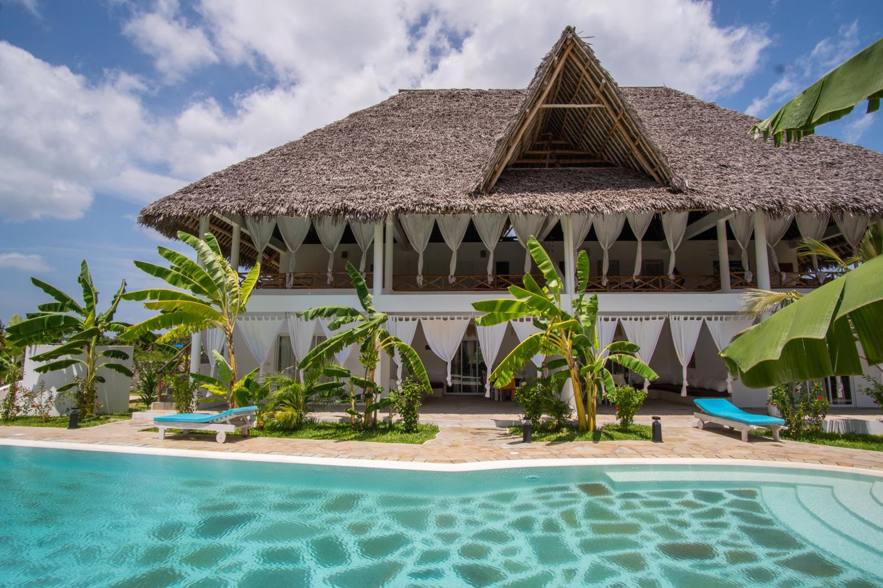 RiccArDella House Rafiki Tamu