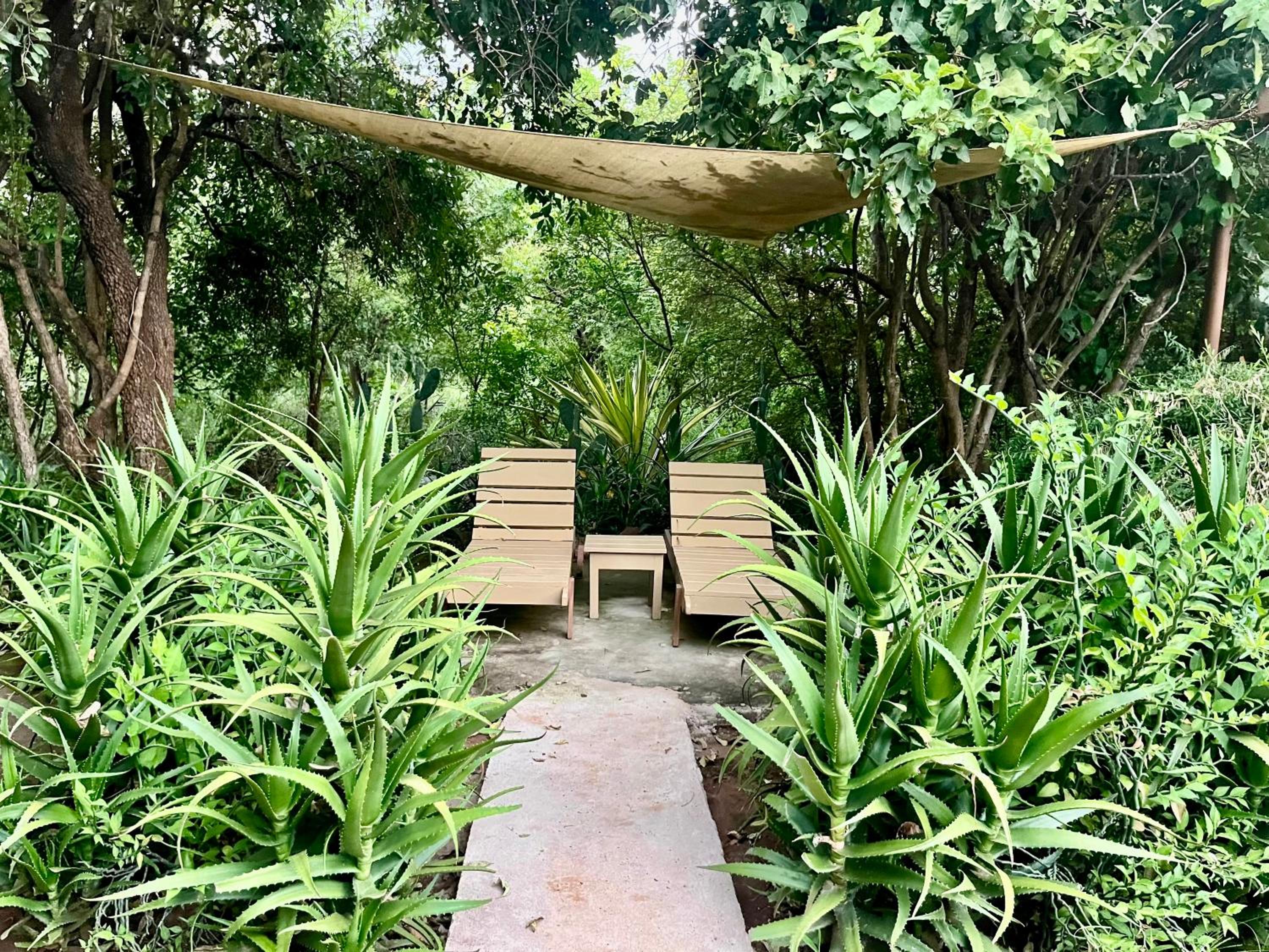 Ikweta Safari Camp