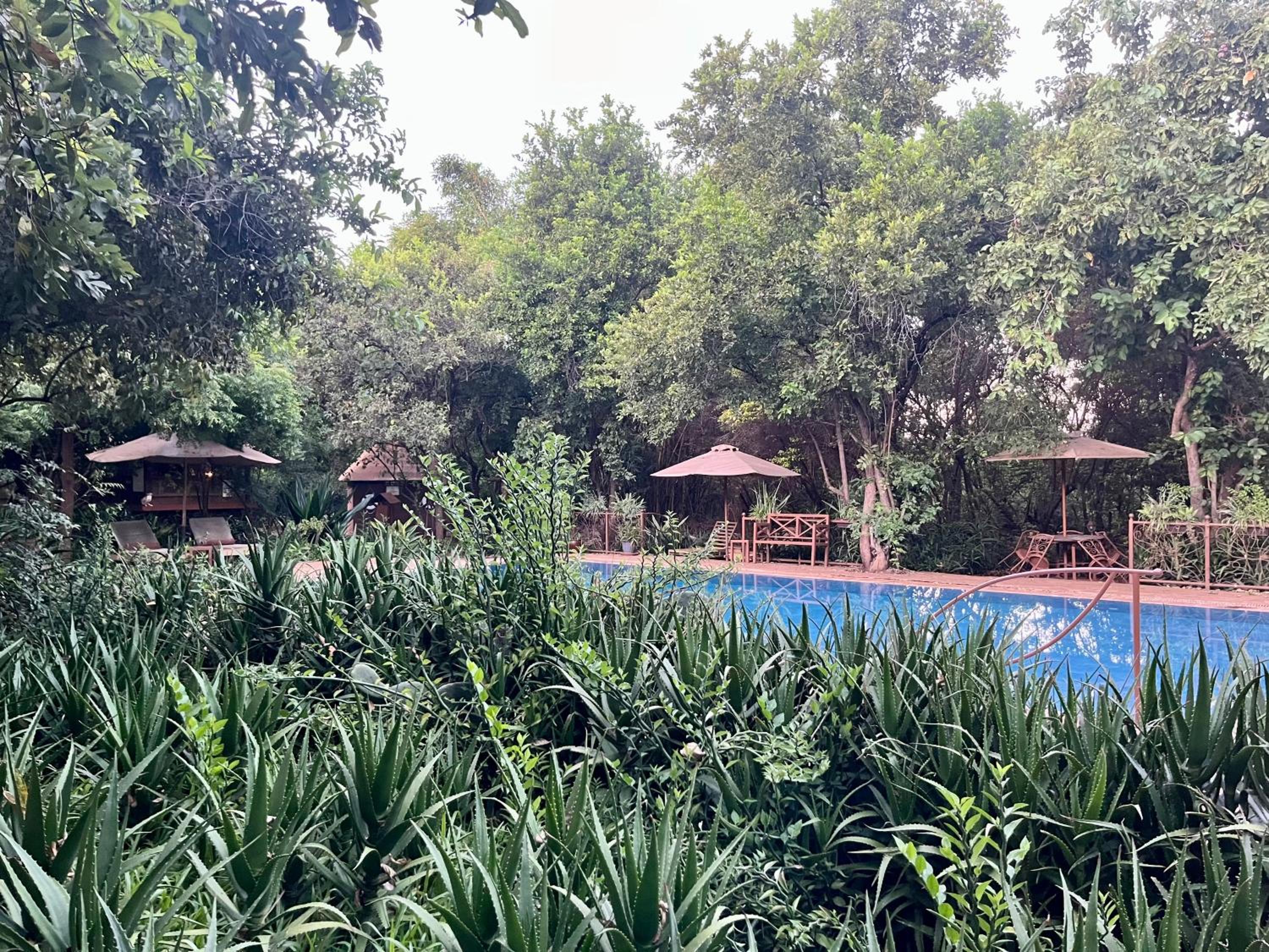 Ikweta Safari Camp