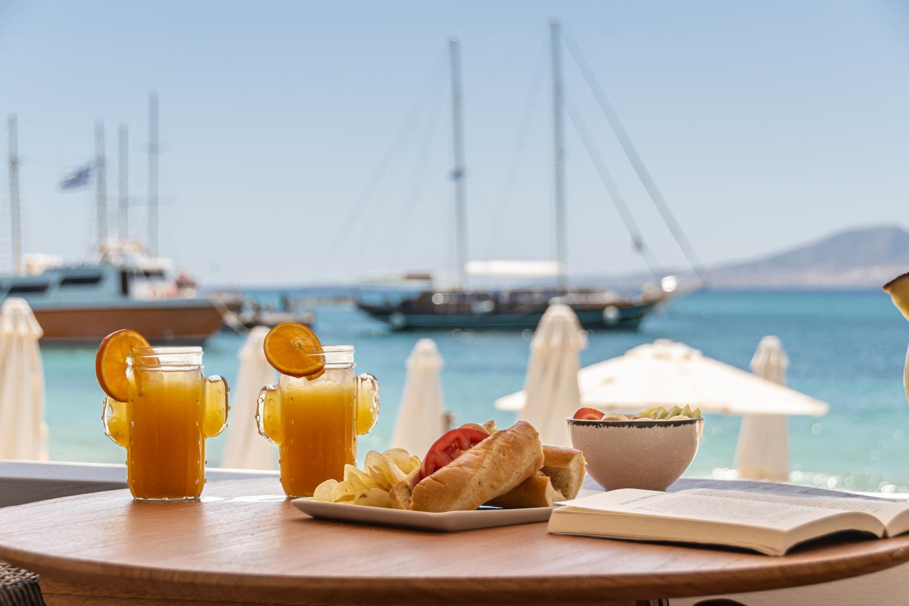 Cactus suite photo 2