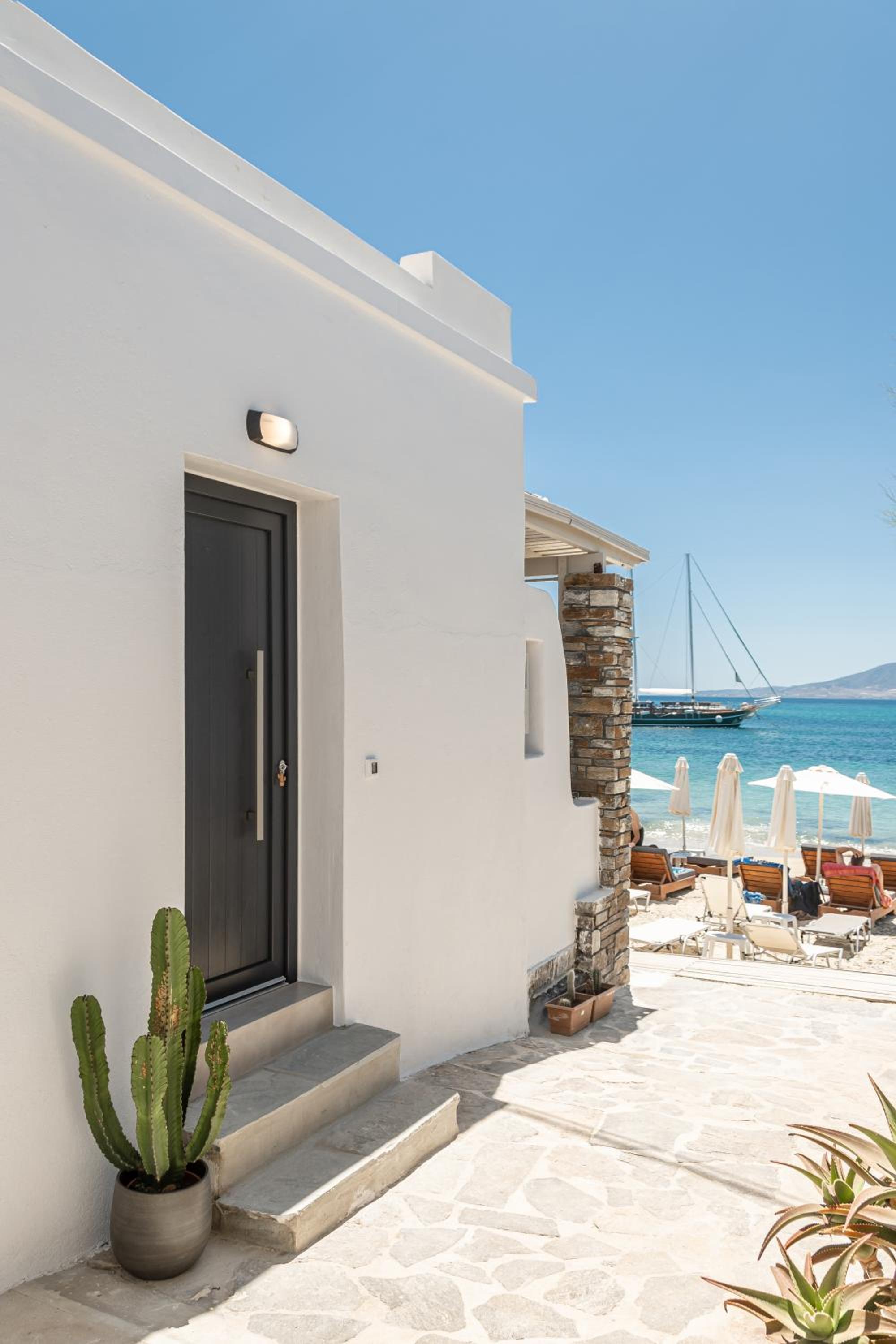 Cactus suite photo 3