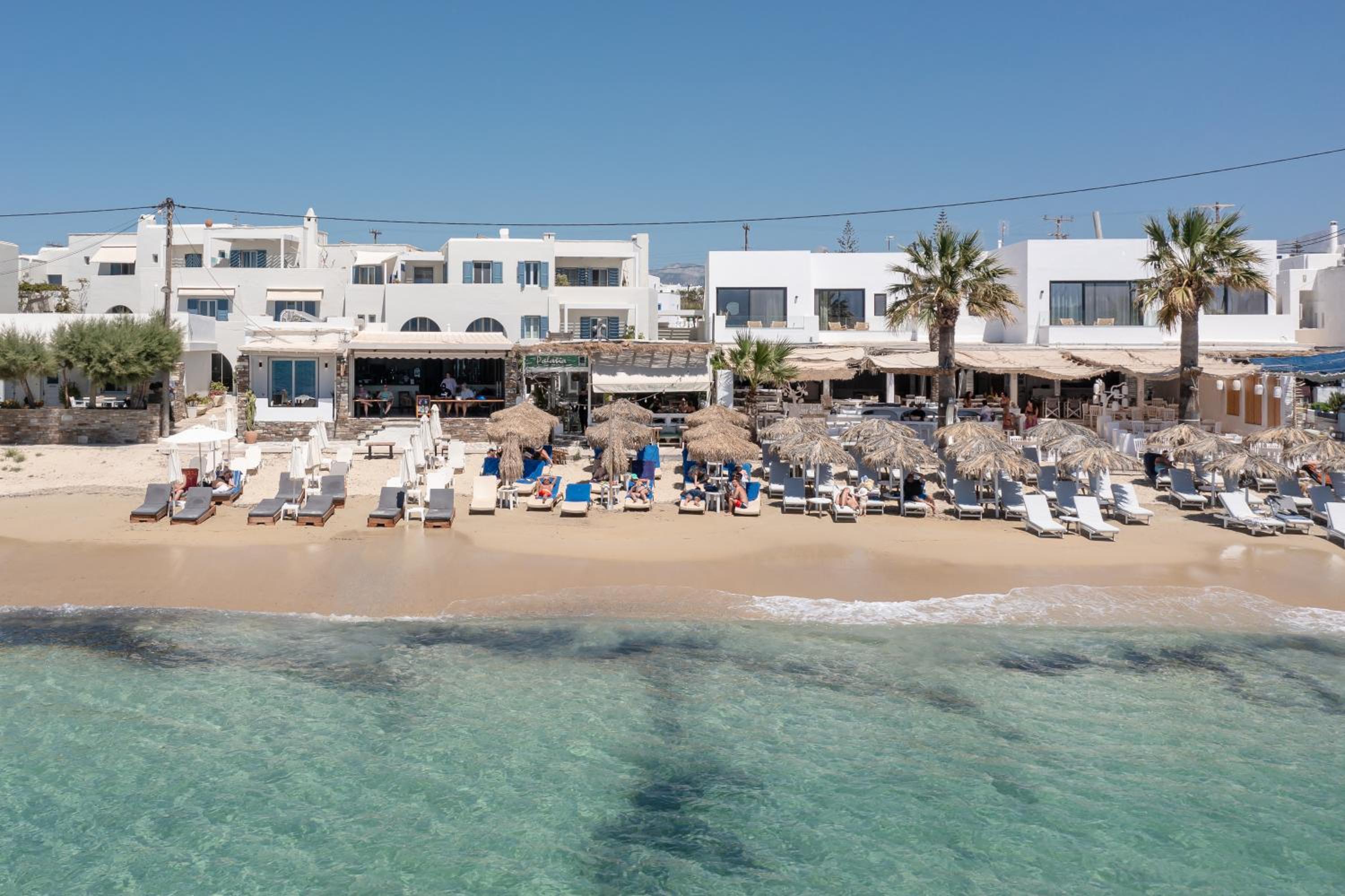 Cactus suite photo 4