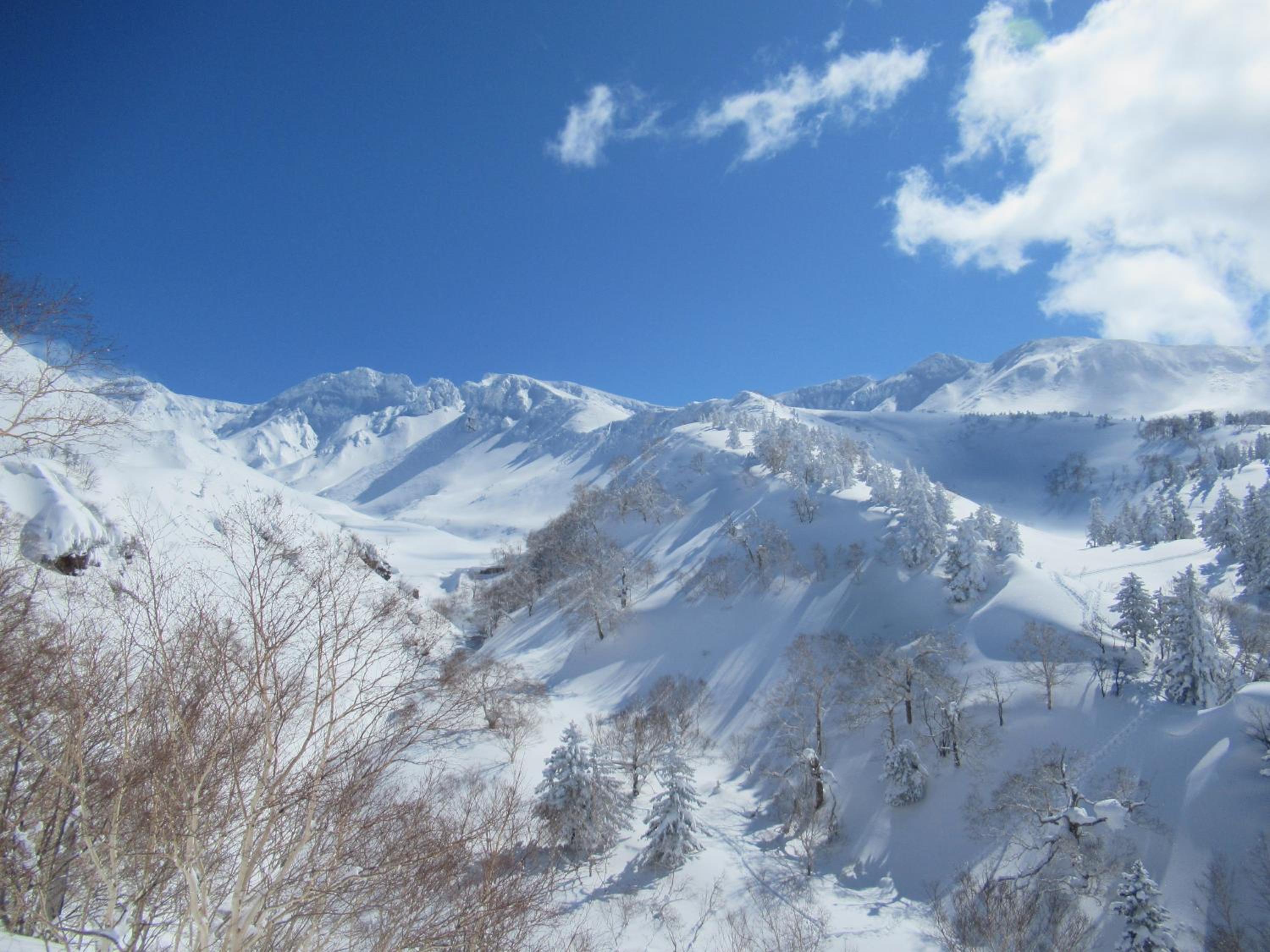 Photo 44
