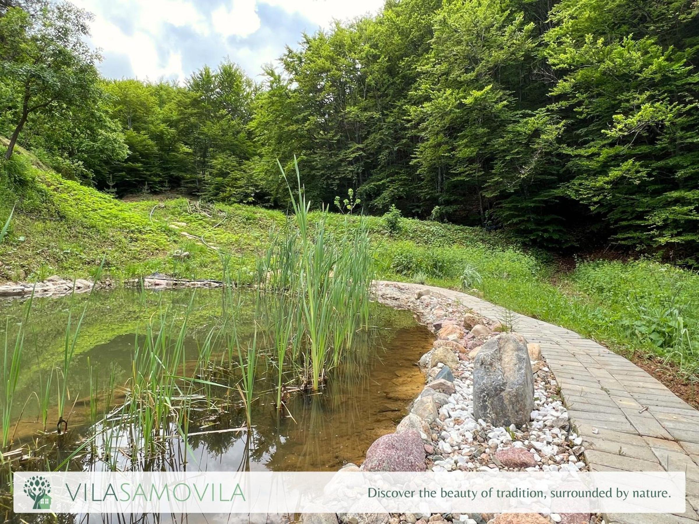 Traditional Cottage - Vila Samovila view 2
