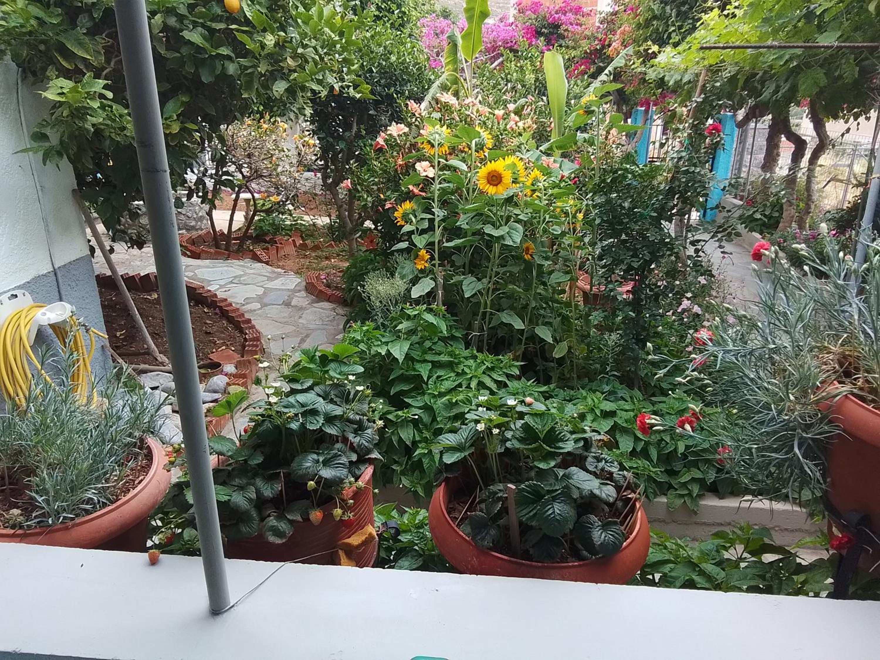 Studios Sevasti