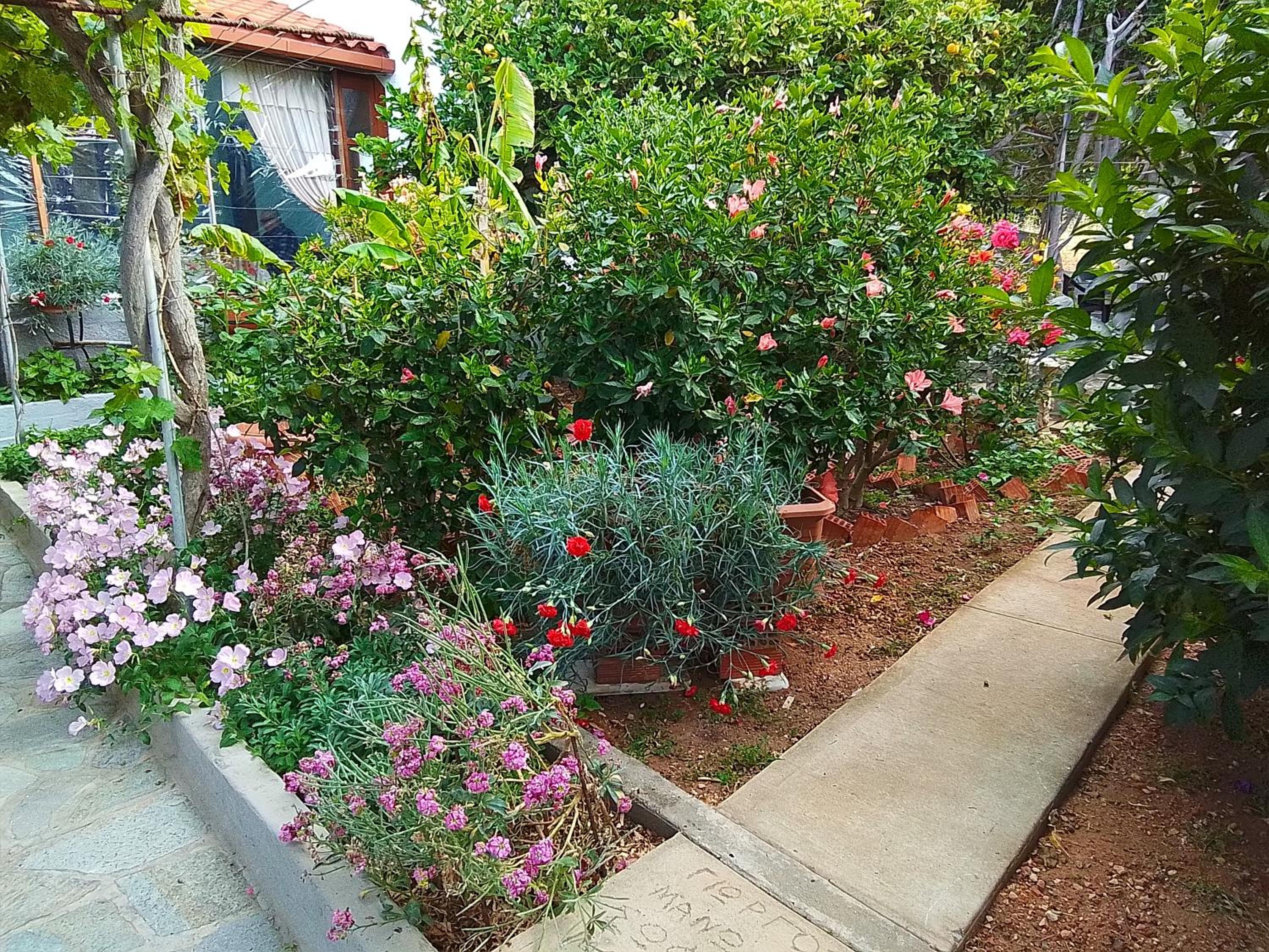 Studios Sevasti