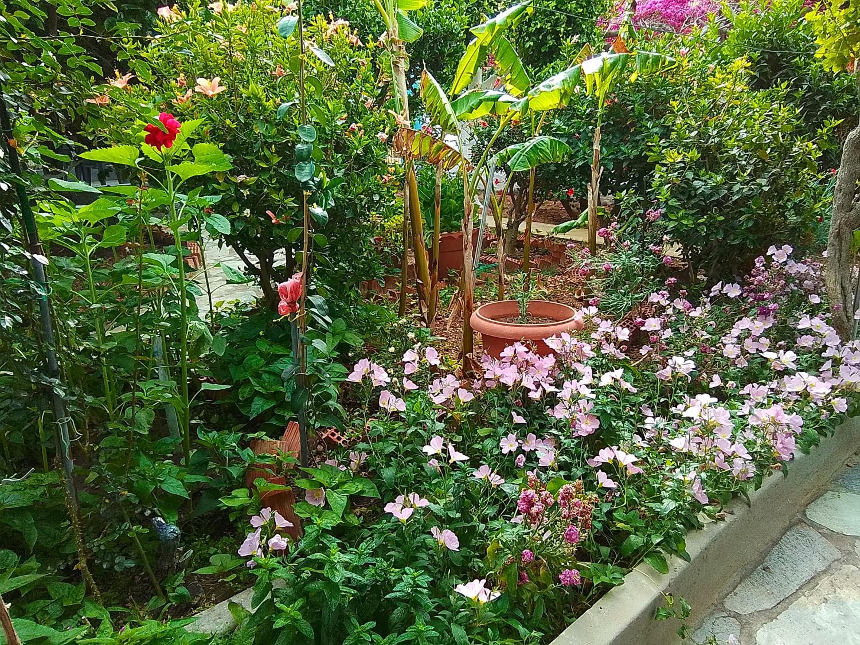 Studios Sevasti
